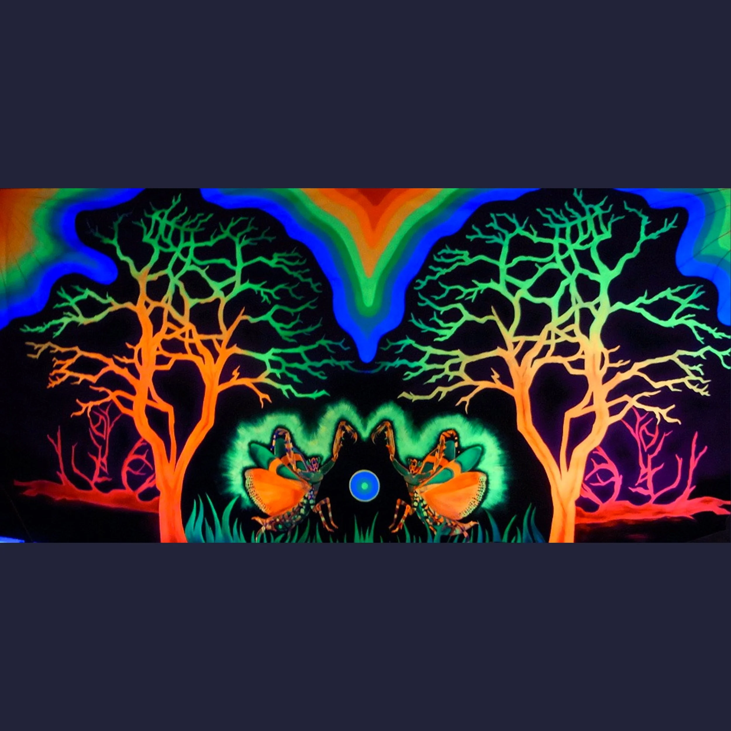 mirror universe ​ SQSP.jpg