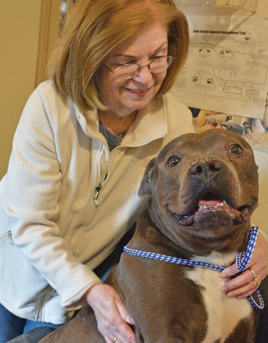 Jeri Dreyer’s commitment to animals results in award for Denison Pound