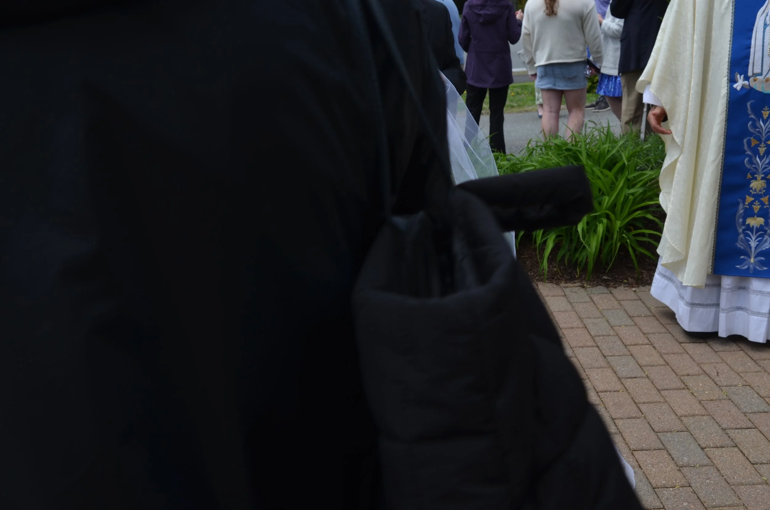 DSC_0201.JPG