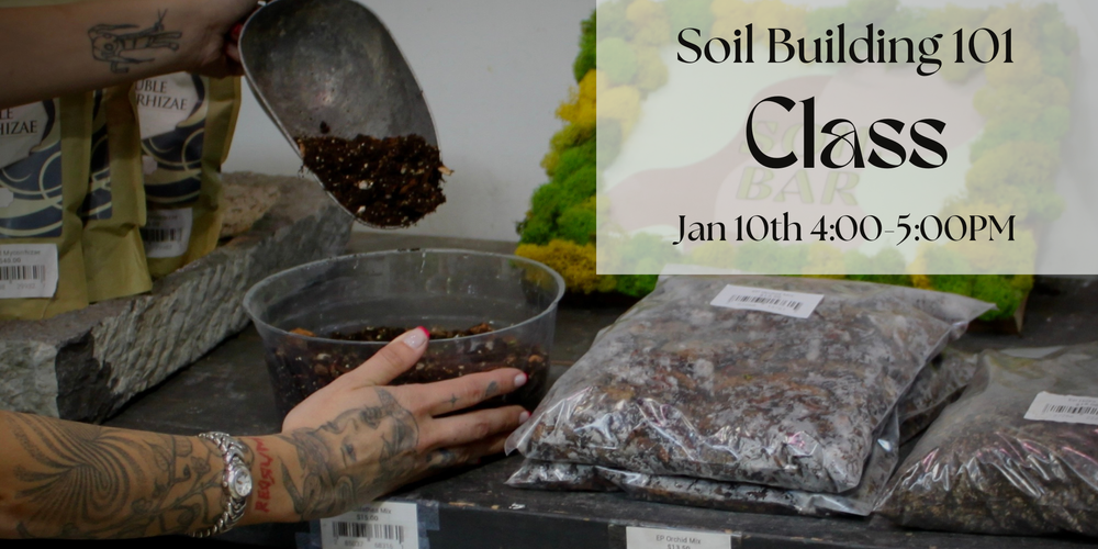 Soil Building.png