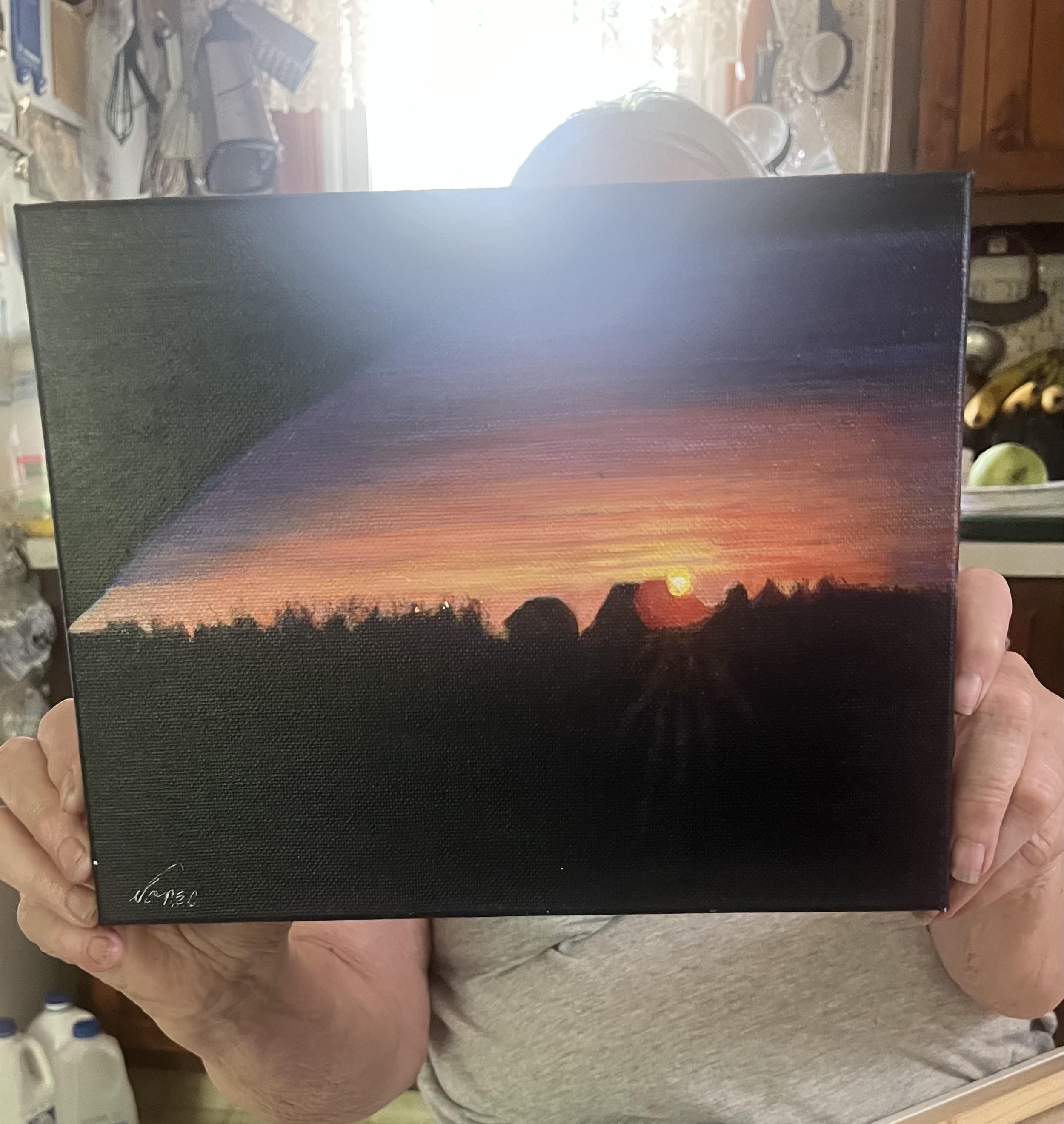 Copy_of_Nancy_Jones_-_Sunset_from_Car_Window_-_Floyd_Jones_(1).jpg