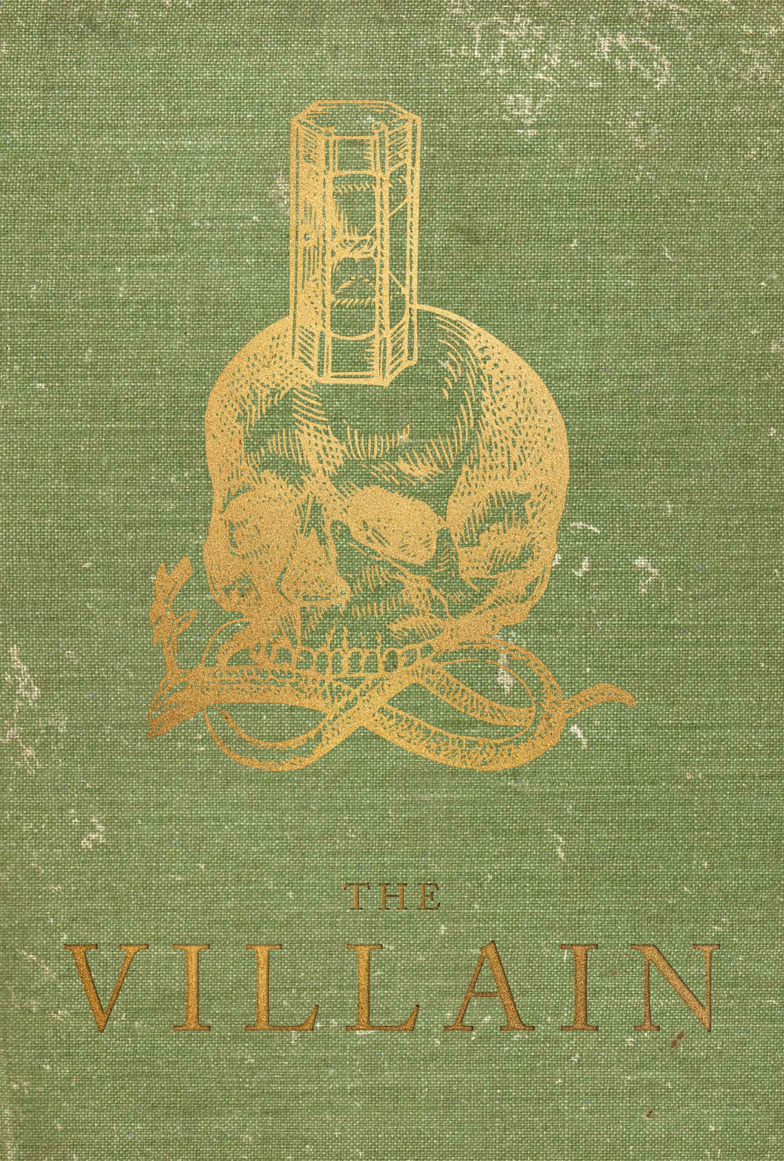 The Villain Poster.png