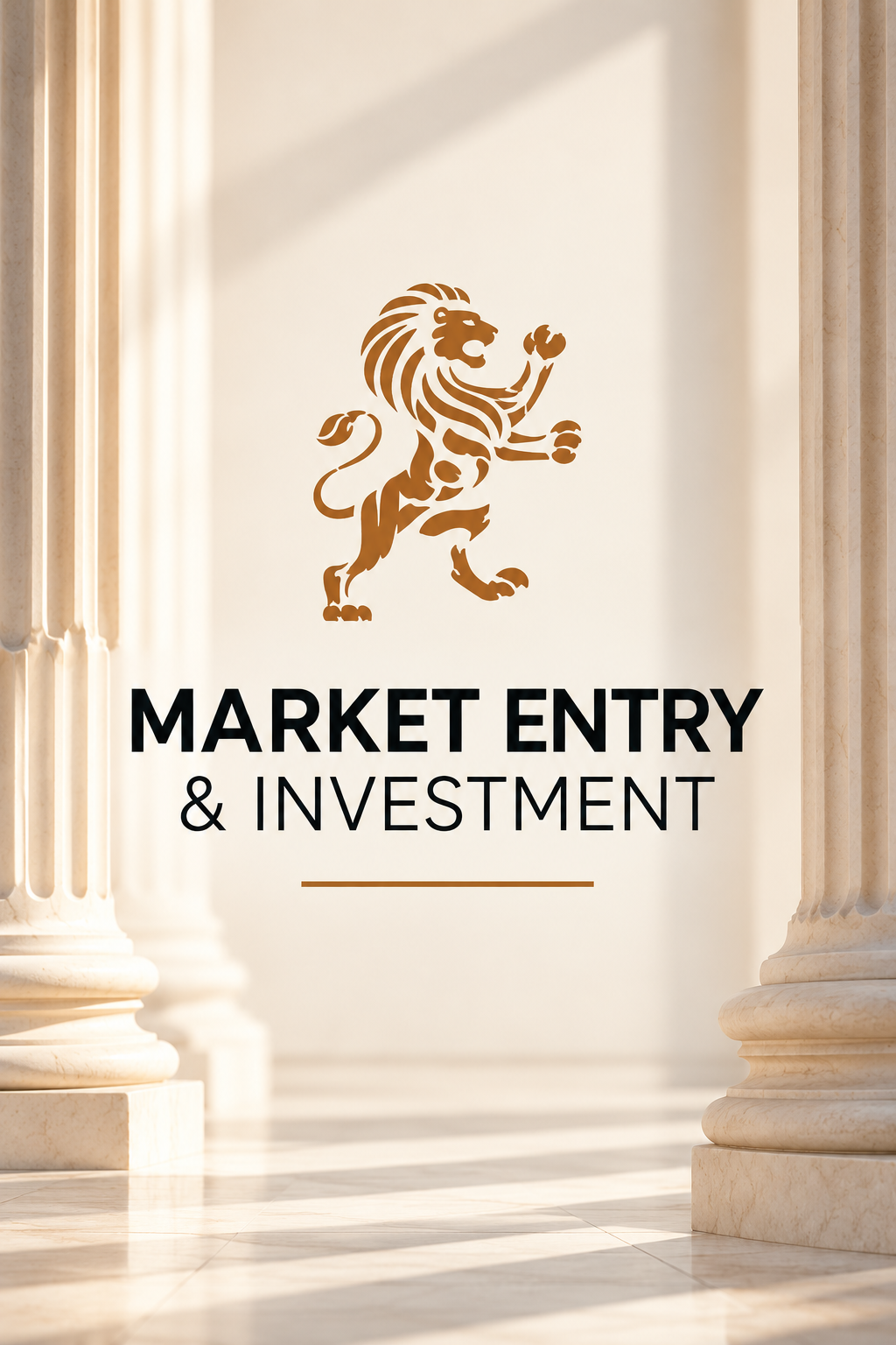 Market Entry &amp; Investment