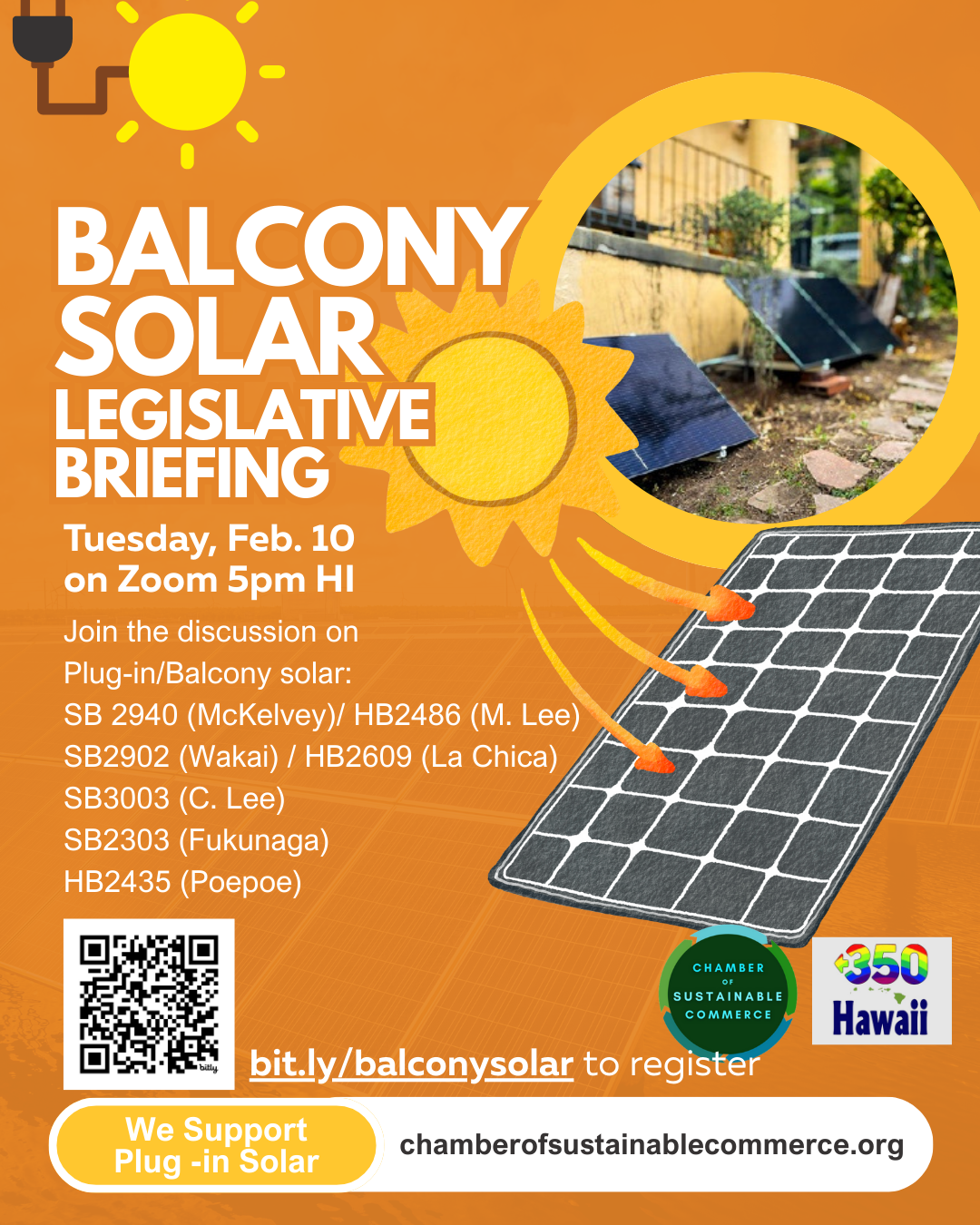 Online Feb. 10 Balcony &amp; Plug in Solar Legislative Briefing 