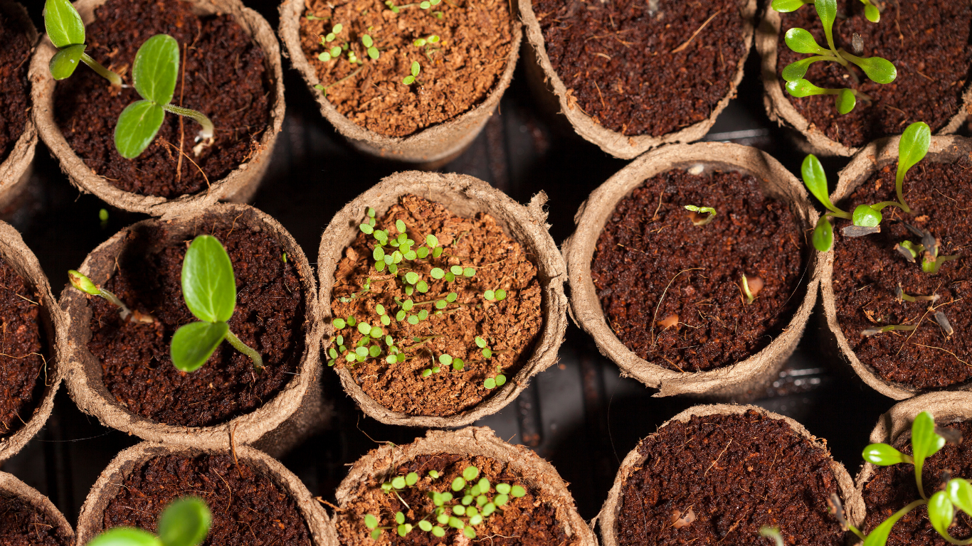 Redefining Success: People, Planet &amp; Prosperity