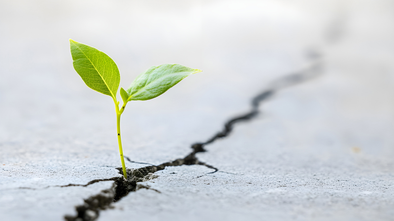 What is a regenerative economy?