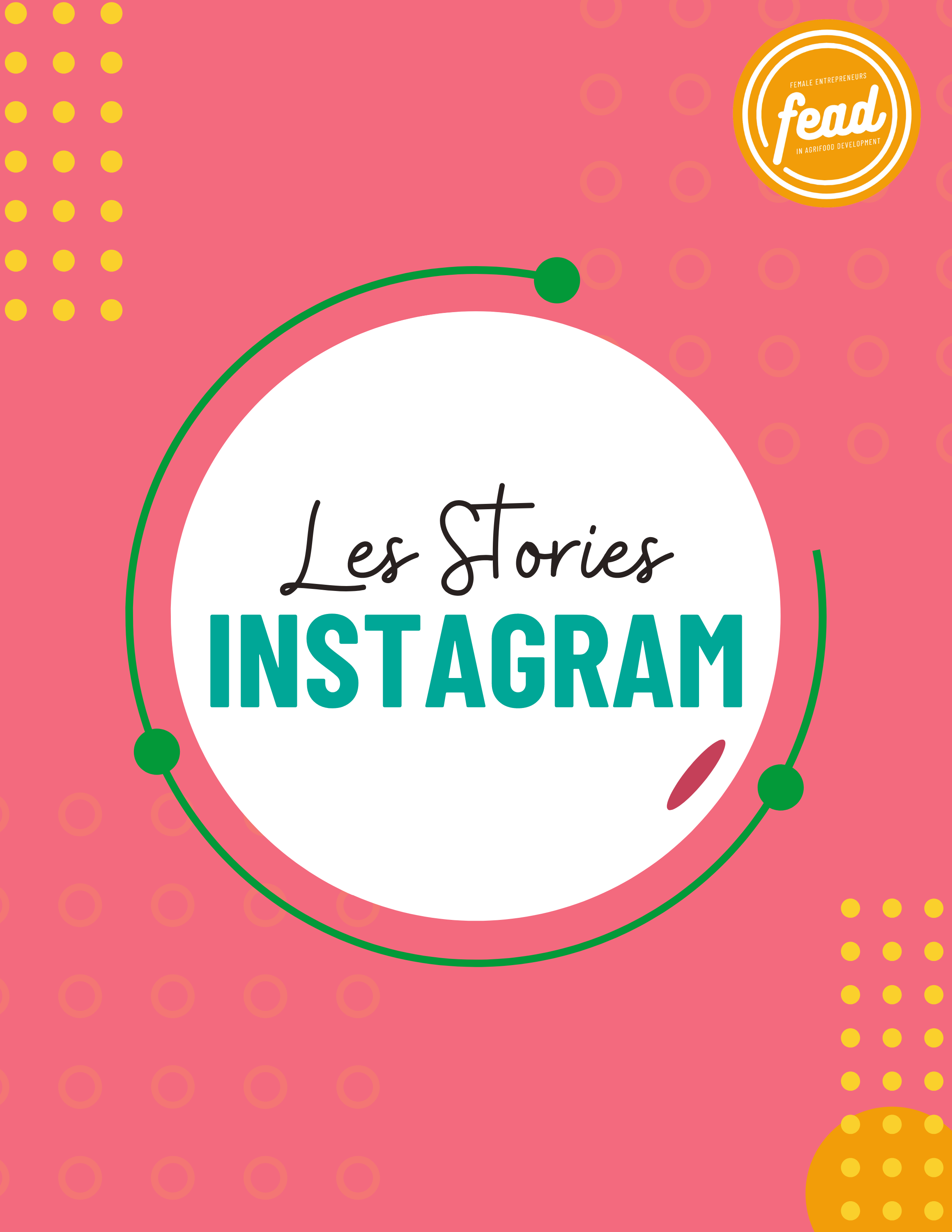Les Stories Instagram