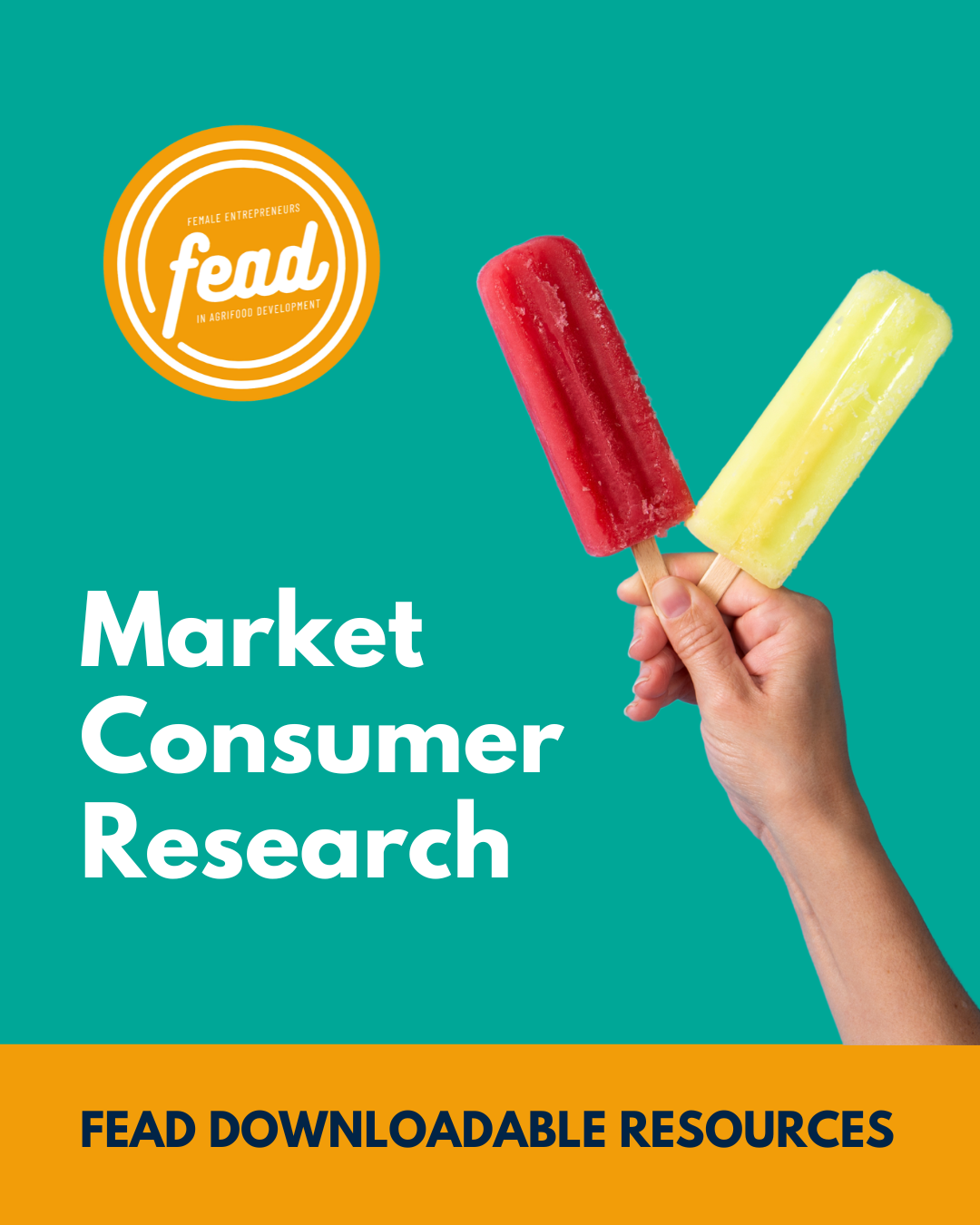 Market & Consumer Research