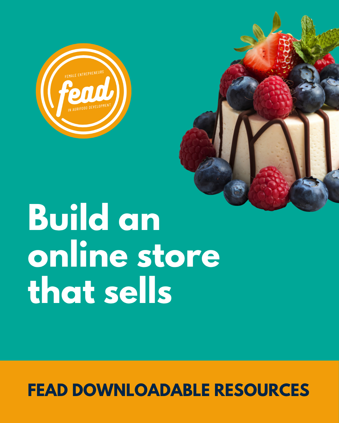 Build an online store that sells
