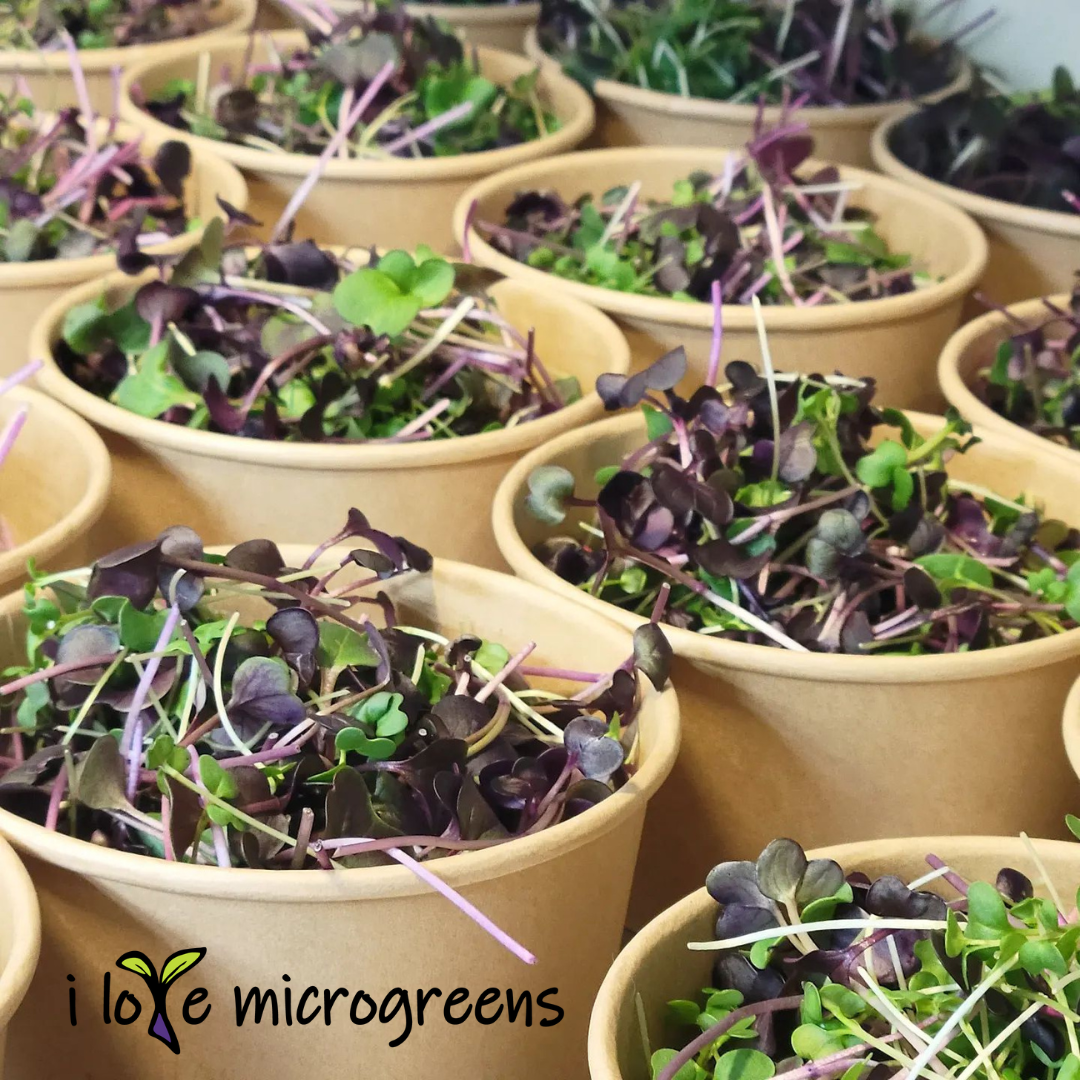 i love microgreens.png
