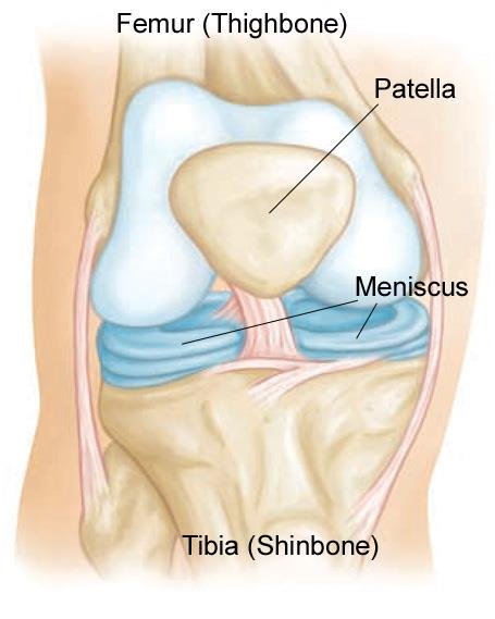 meniscus.jpg