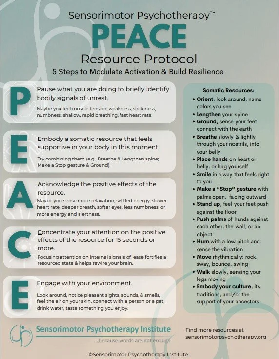 SP PEACE PROTOCOL Image of Steps