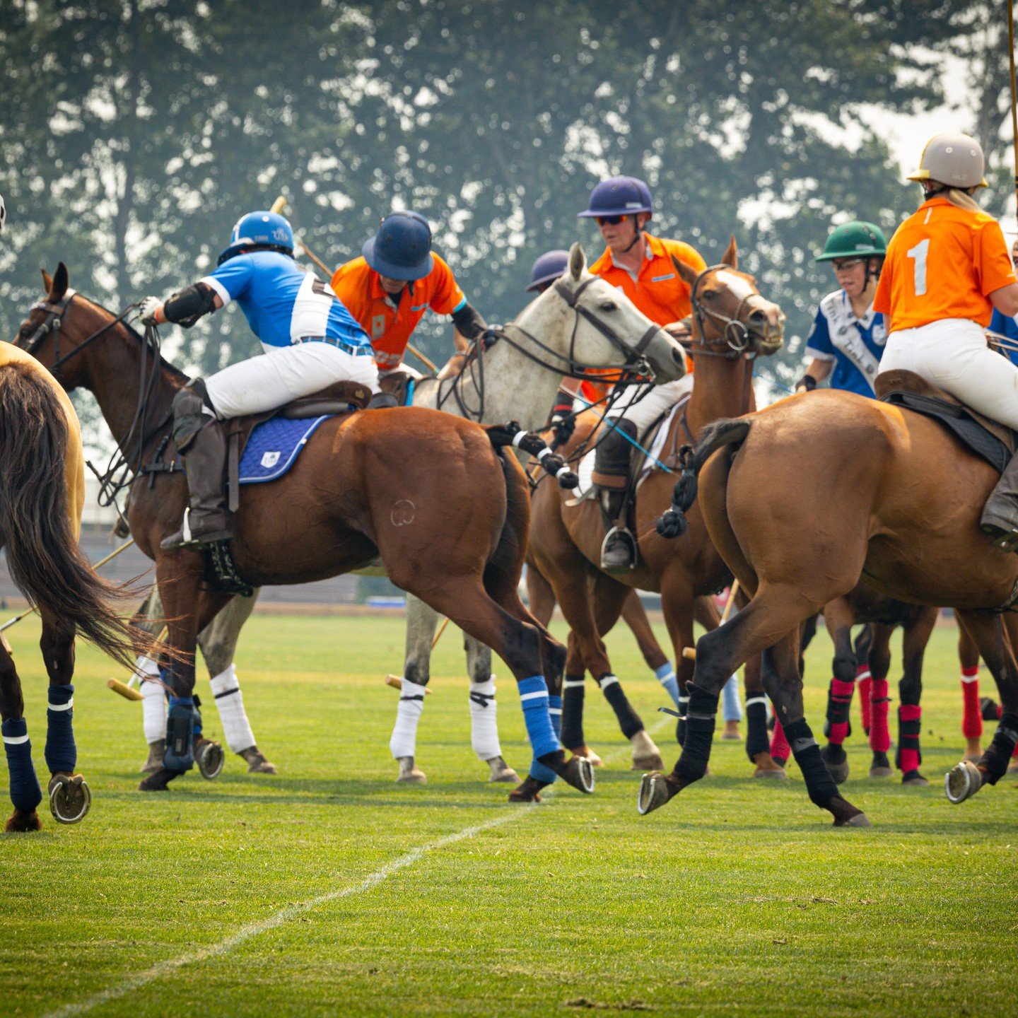 Early Bird Tickets on Sale for the Kelowna Polo Classic 2024! Just a few Left, so don't hesitate. June 29th 11am - 6pm. This year's ticket includes tokens for the Valley First Tasting Tent promoting &quot;Women in Wine&quot;, catered small plates all