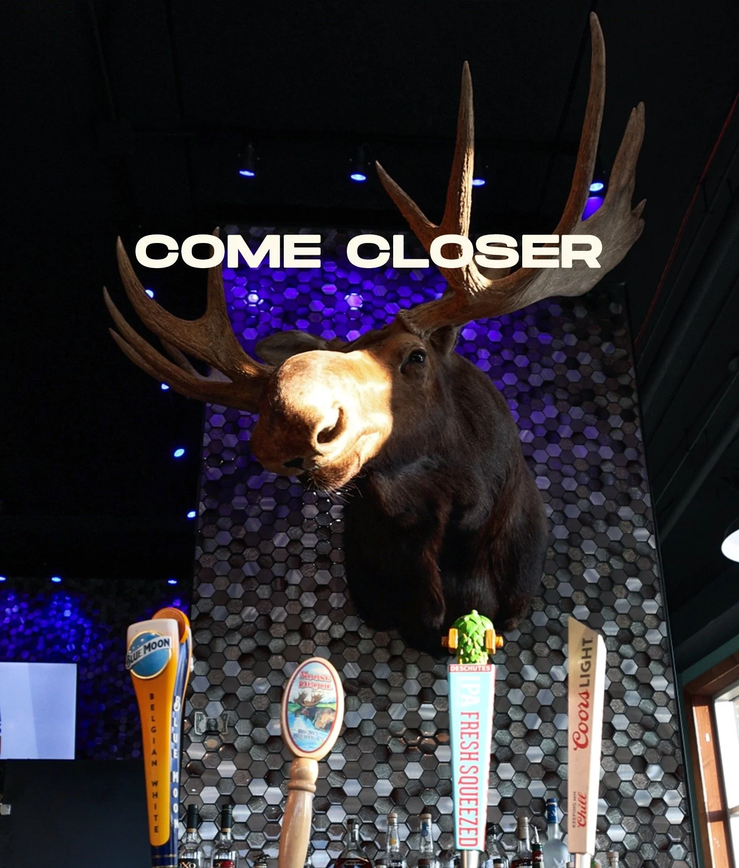 If Melvin made you check the caption&hellip; it worked.

Now that you&rsquo;re here 
who are you bringing to Wings Axe today? 

#WingsAxe #WingLovers #AxeThrowing  #FoodAndFun #EatLocal #GoodEats #RestaurantFun #FoodReels #MarshallMN #MinnesotaEats #