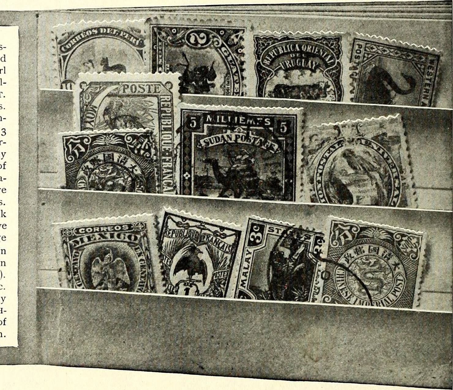 Comemorações do 82.º Aniversário do Clube