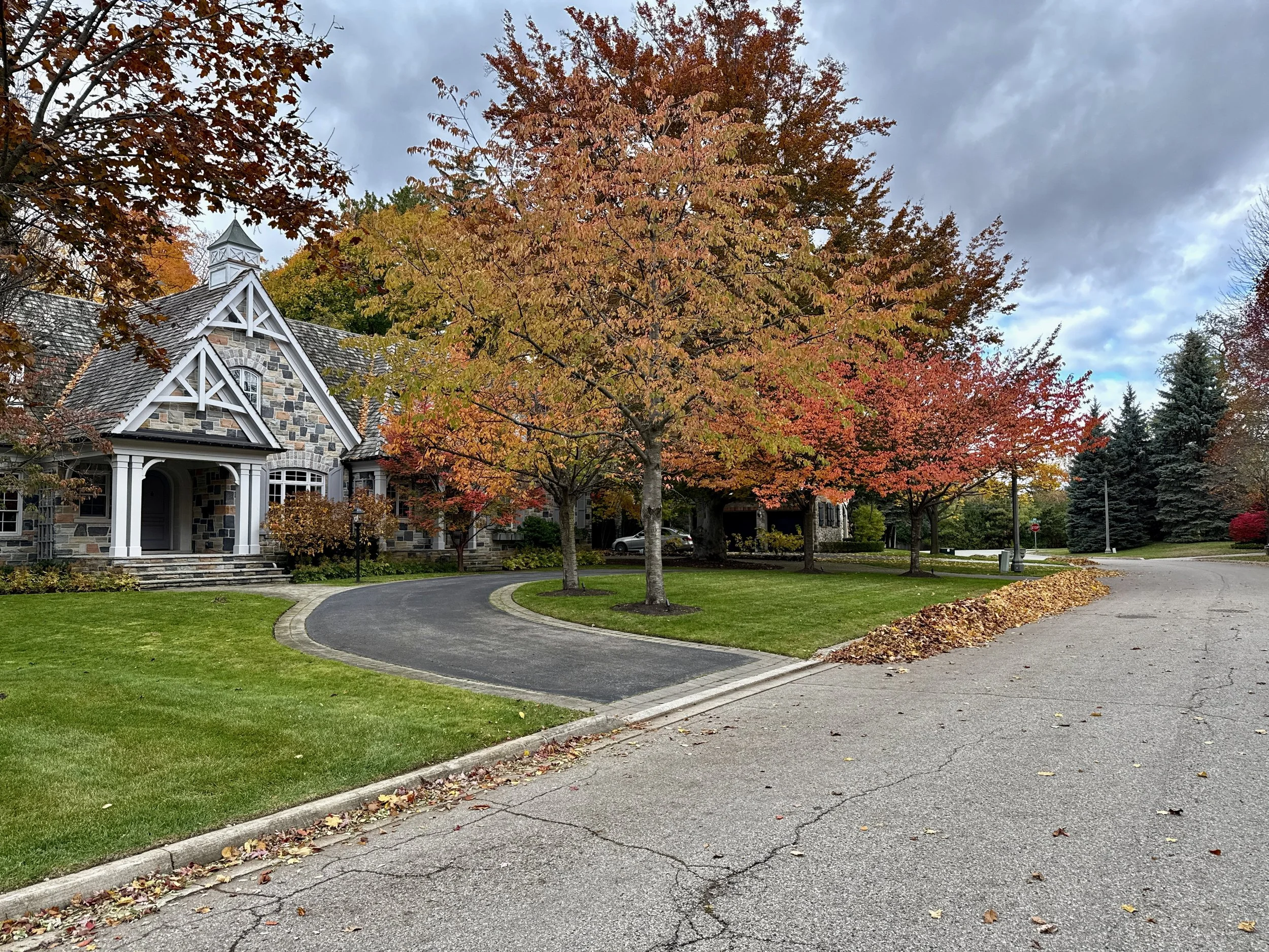Fall clean-up in South West Oakville, Ontario, South of Lakeshore Rd. Leaves blown to curb for town leaf collection