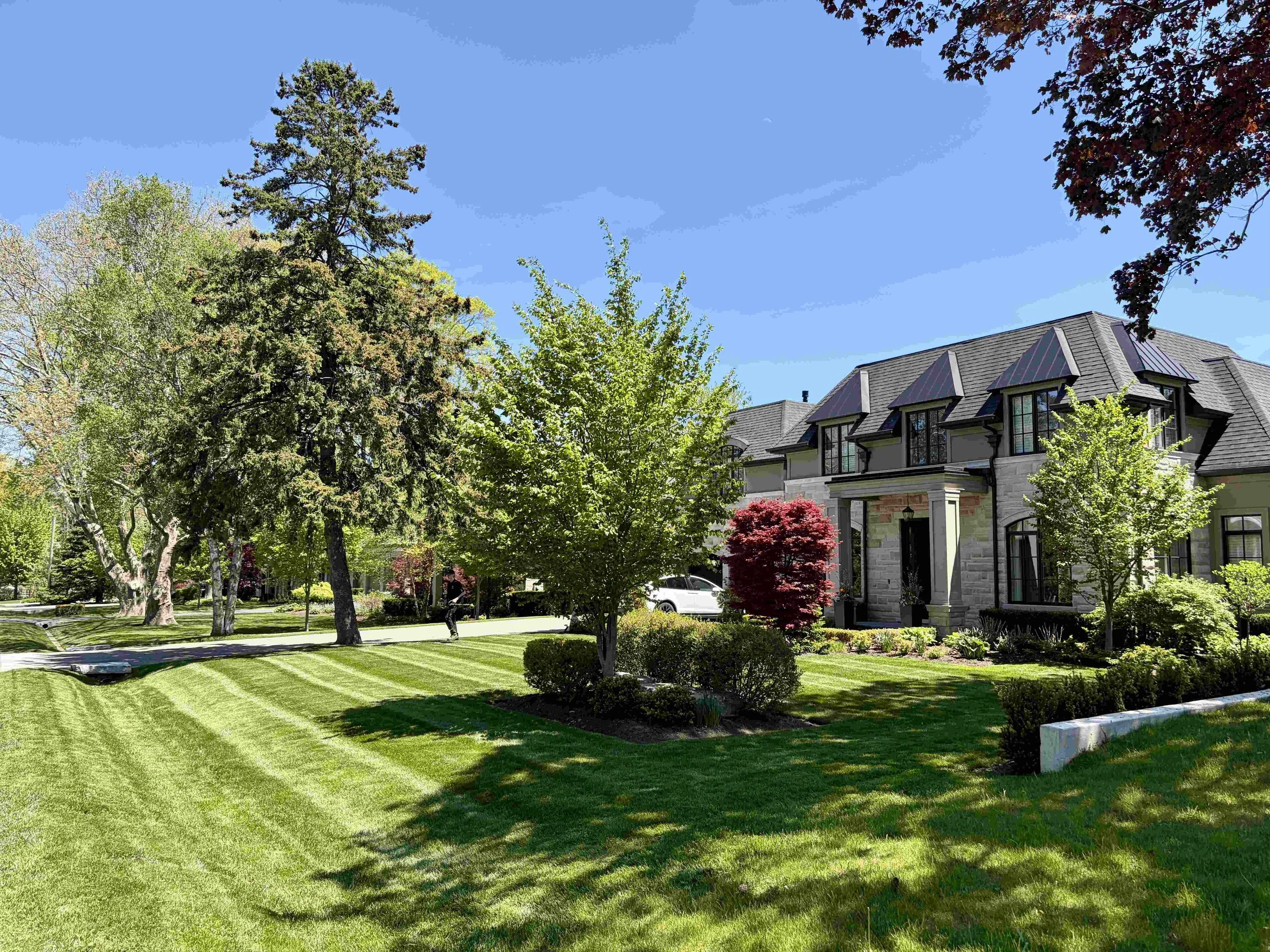 Immaculately striped front lawn of a luxury estate in downtown Oakville, showcasing elite residential property maintenance and curb appeal management by JC Priority Landscaping.