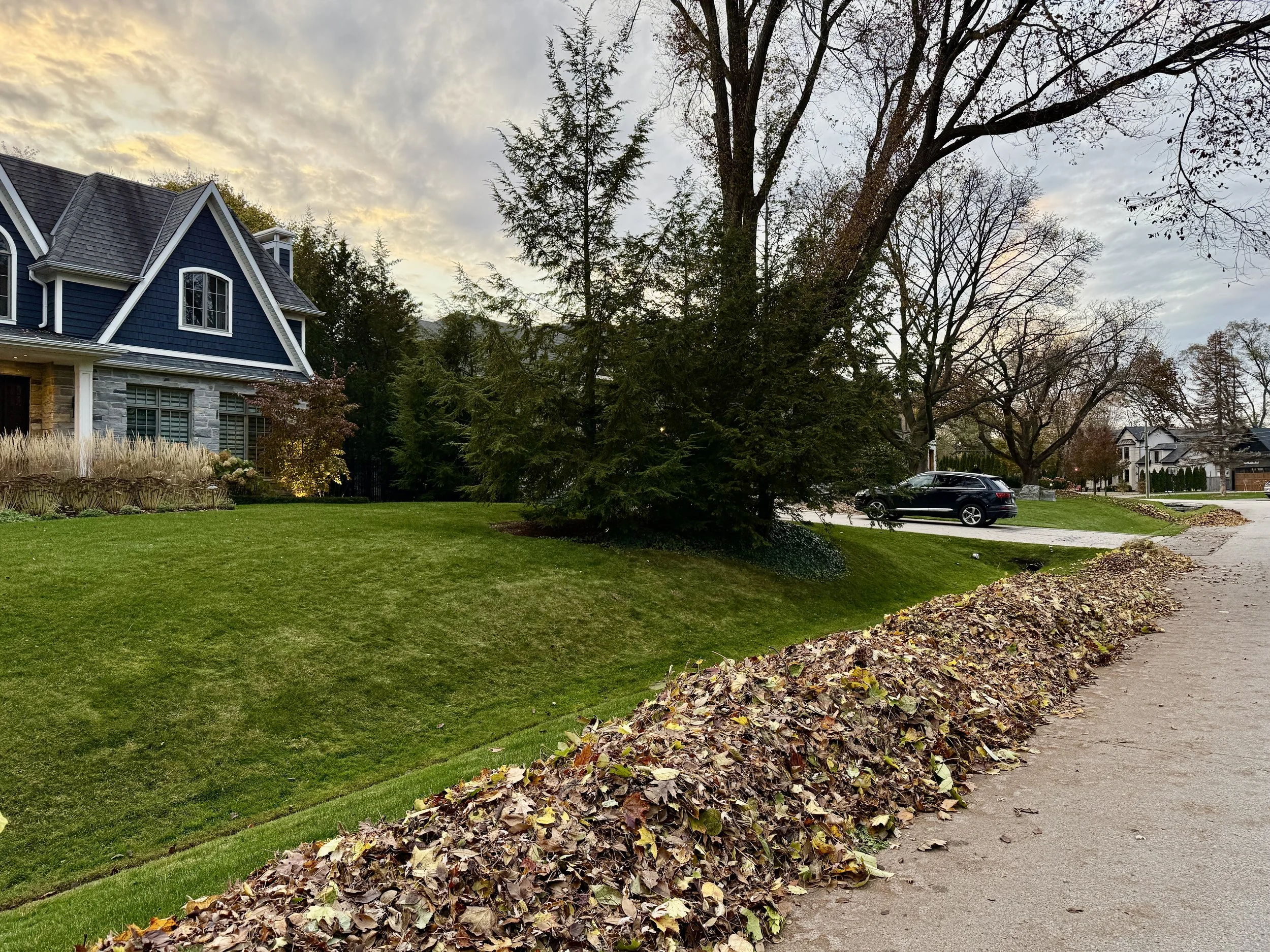 Fall clean-up in South West Oakville, Ontario, South of Lakeshore Rd. Leaves blown to curb for town leaf collection
