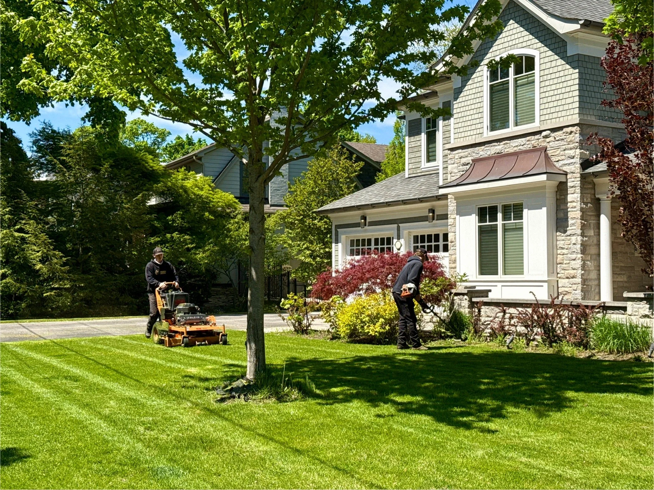 JC Priority Landscaping professional performing precision grass cutting and lawn striping in the pristine backyard of a luxury downtown Oakville estate.