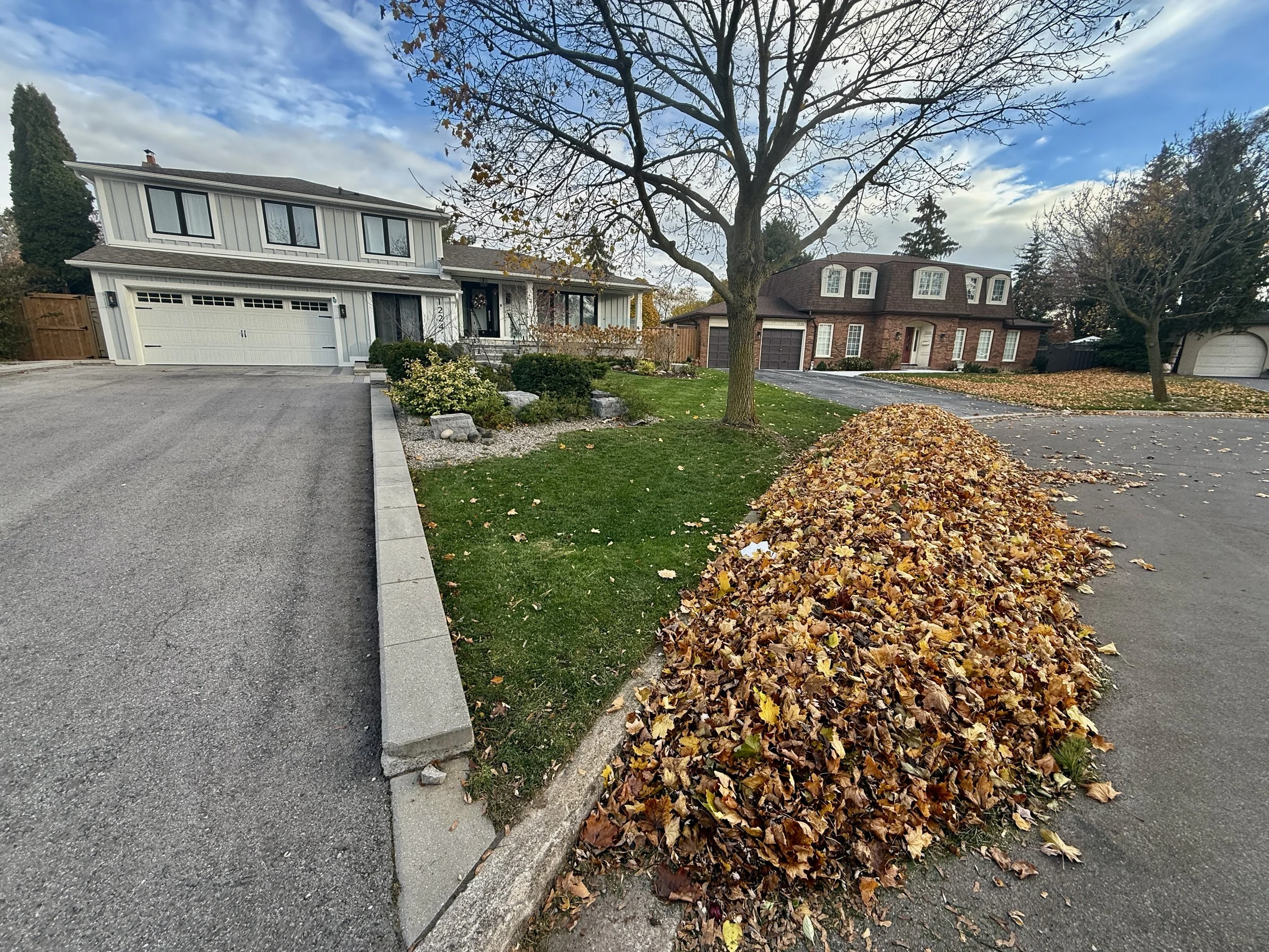 Fall clean-up in South Oakville, Ontario, South of Lakeshore Rd. Leaves blown to curb for town leaf collection