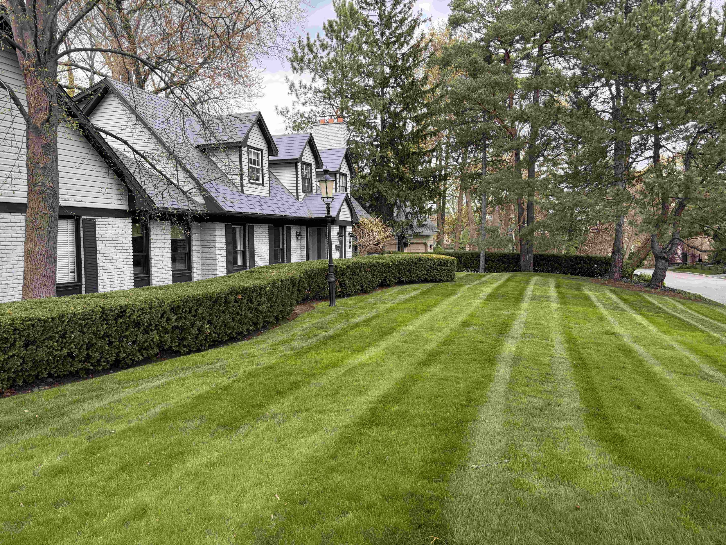 Premium weekly lawn maintenance and precision grass striping on a residential property in the College Park area of Oakville.