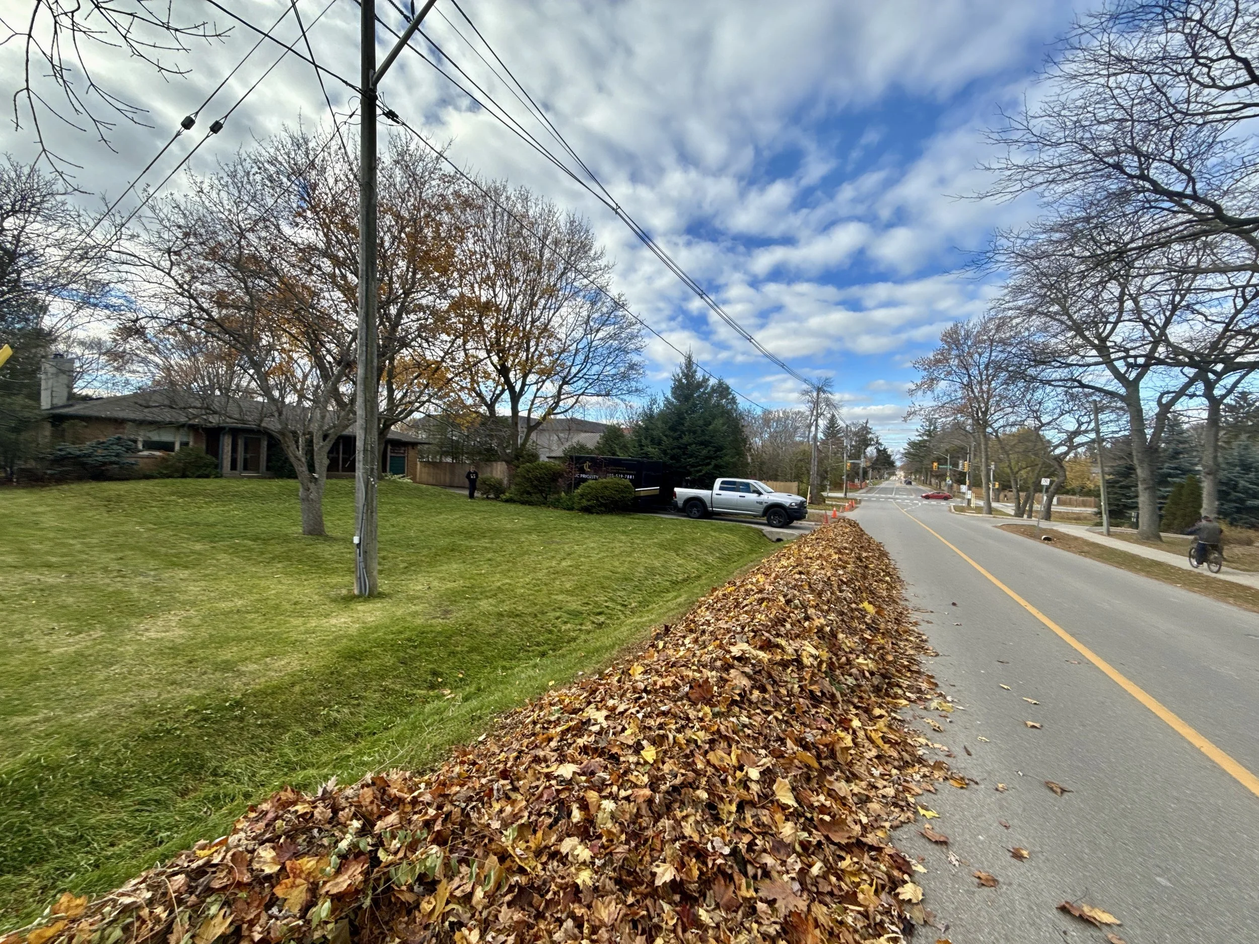 Fall clean-up in Bronte area in Oakville, Ontario, South of Lakeshore Rd. Gutters & eavestroughs cleaned. Leaves from entire property blown to curb for town leaf collection
