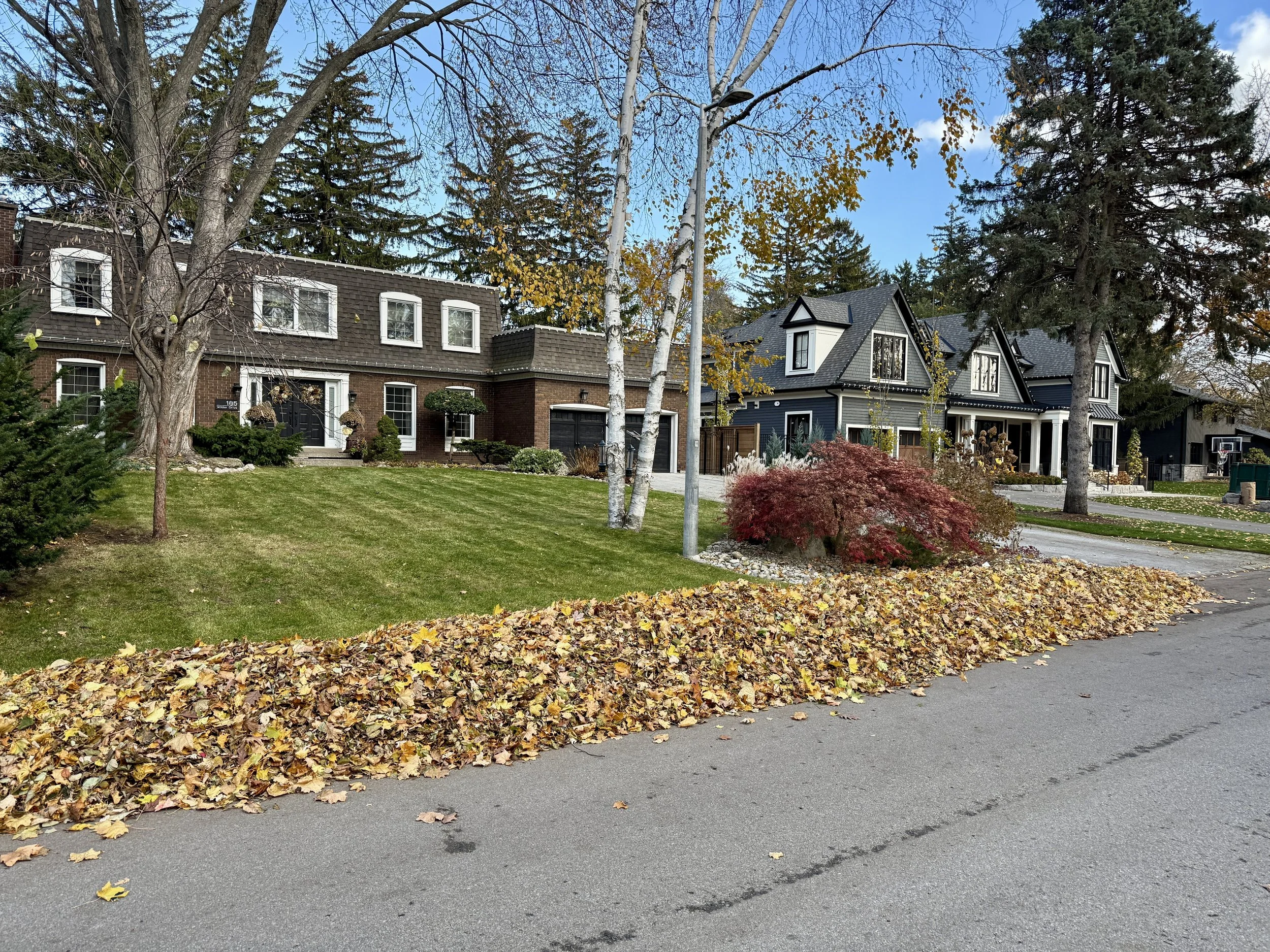 Fall clean-up in South West Oakville, Ontario, South of Lakeshore Rd. Leaves blown to curb for town leaf collection