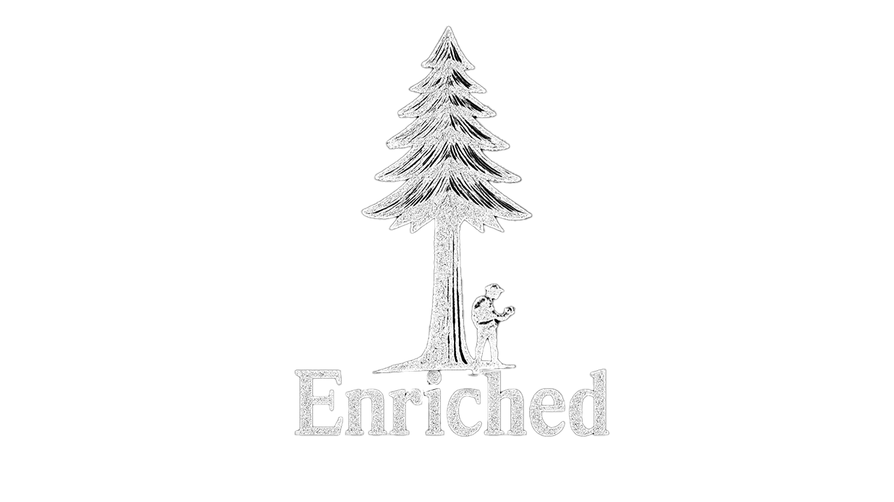 Enriched Media 