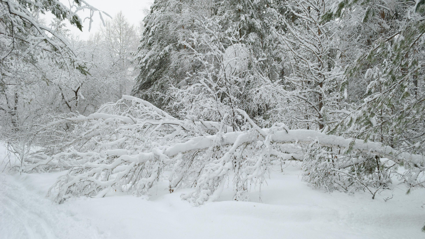 Extreme Weather and the Essential Value of Home Watch Services