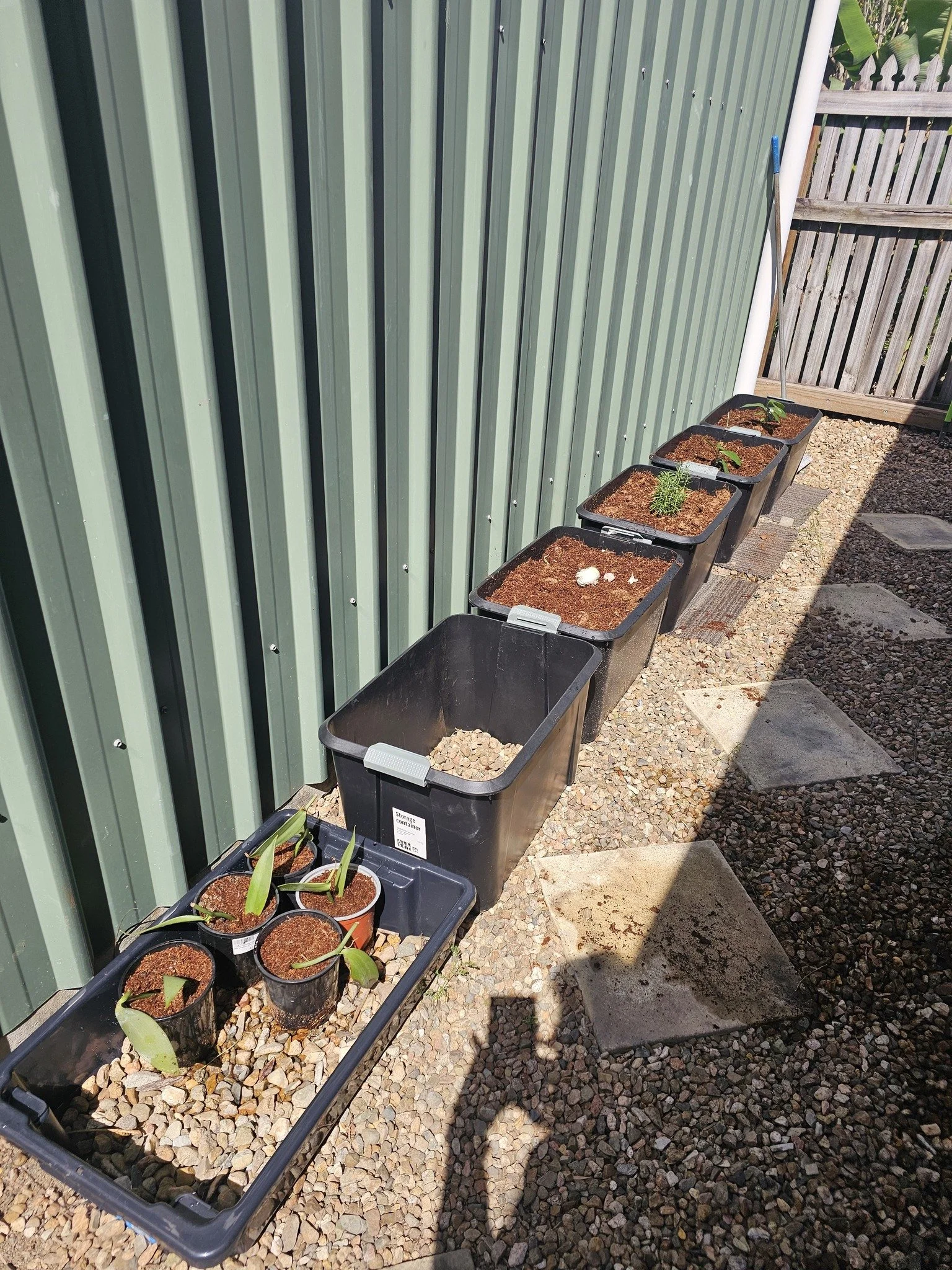 While MGM and I are preparing to build our home, any plants I want to grow are having to be planted in pots (or plastic storage boxes) so that they can be relocated without having to uproot them.  Because the boxes are black plastic, i'm going to wra