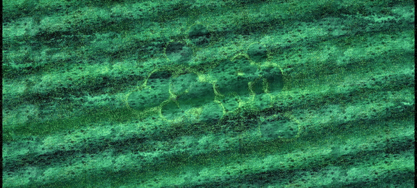 ezgif-5-c2e069d9c7.gif