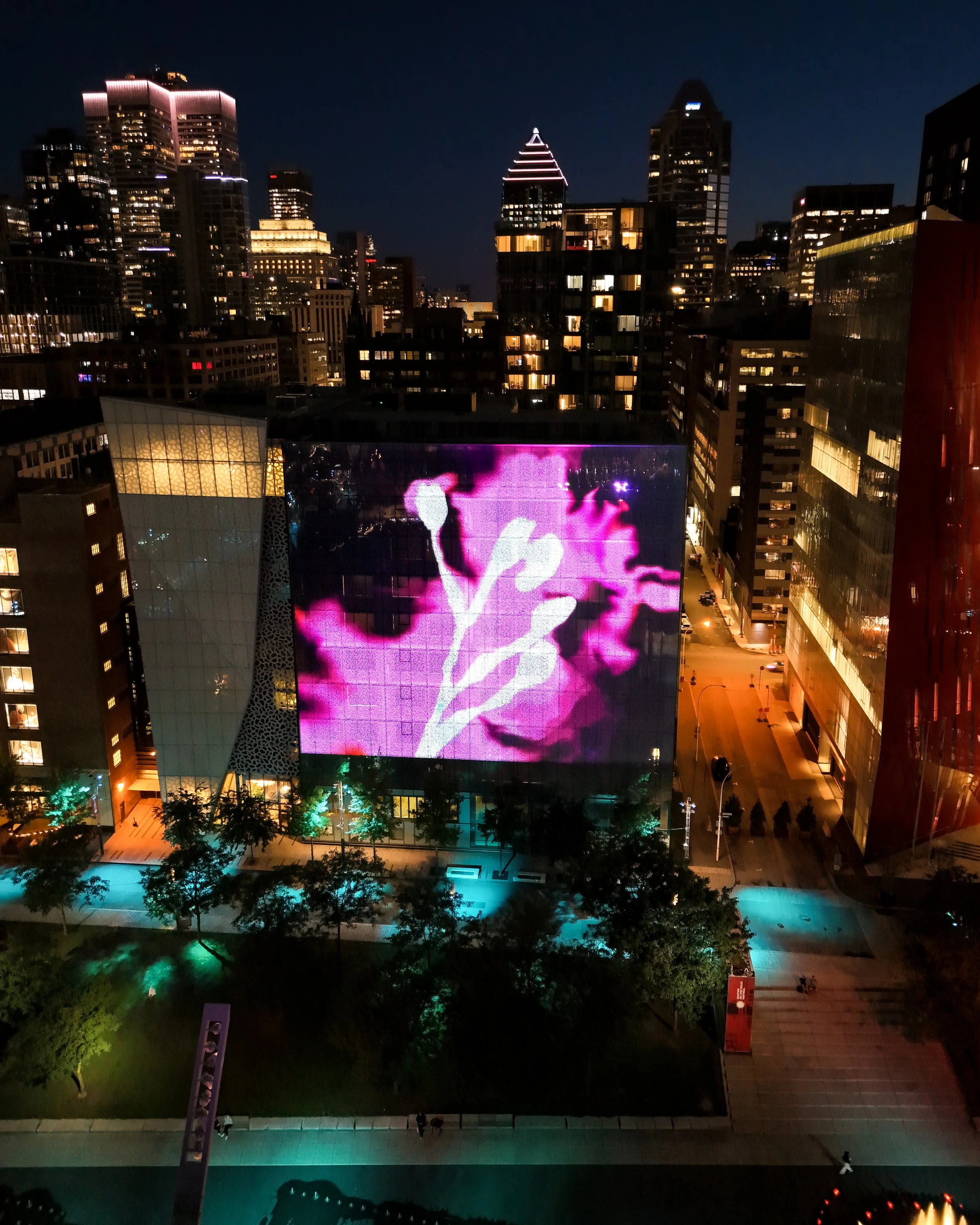 eclosion_drone.Still002.jpg