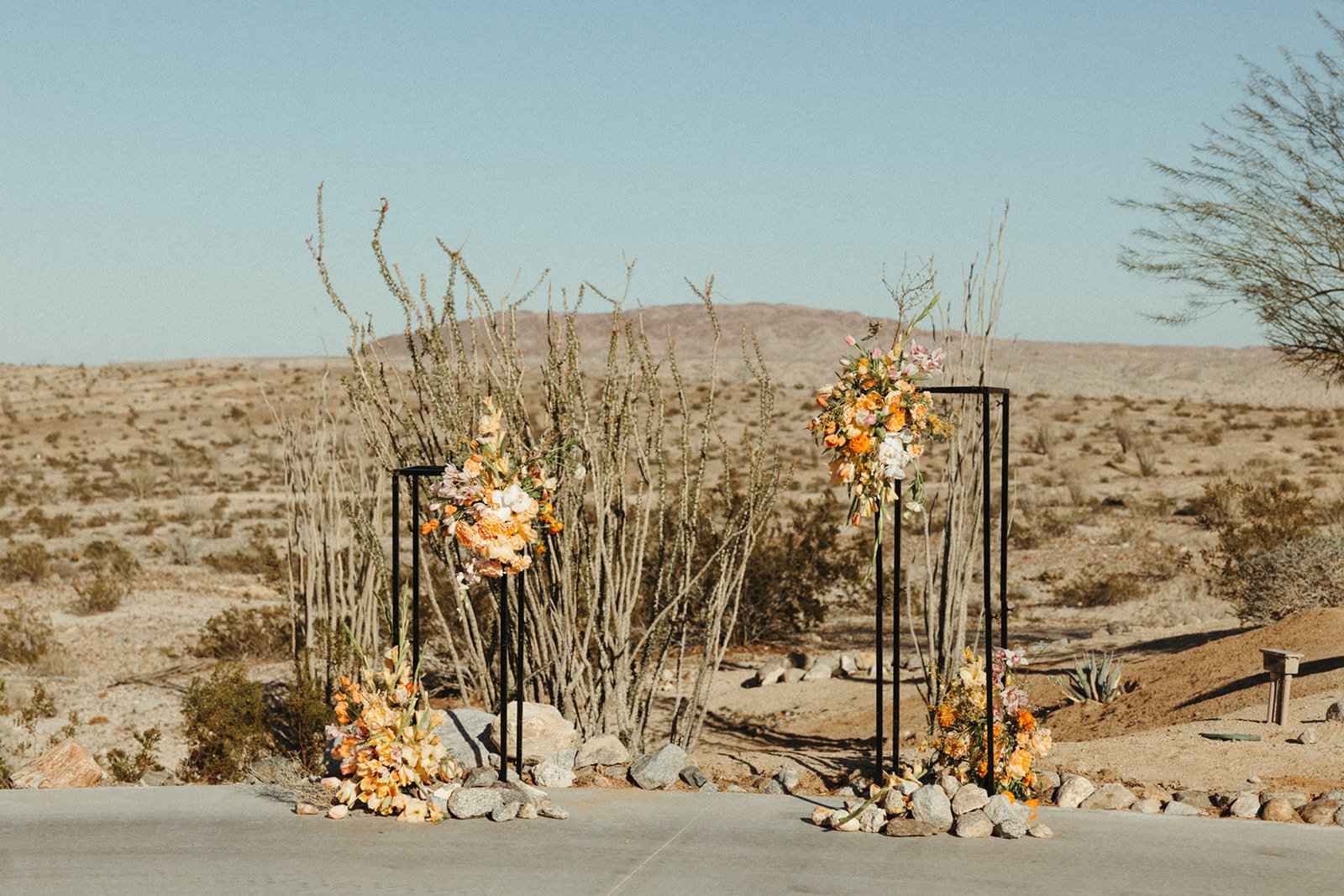 Borrego Springs, CA