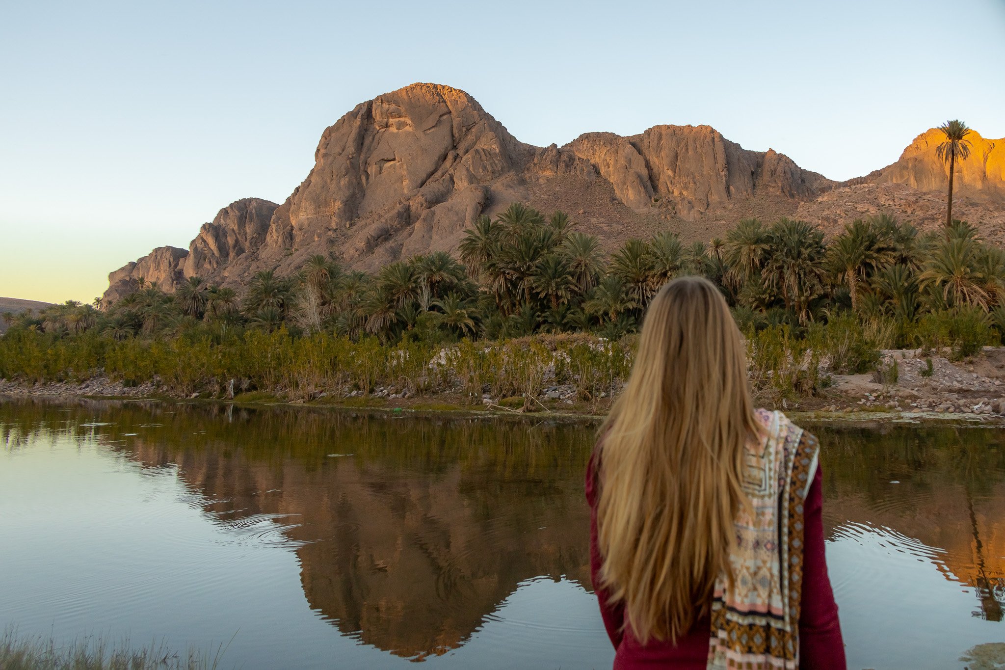 Oases in Morocco.jpg