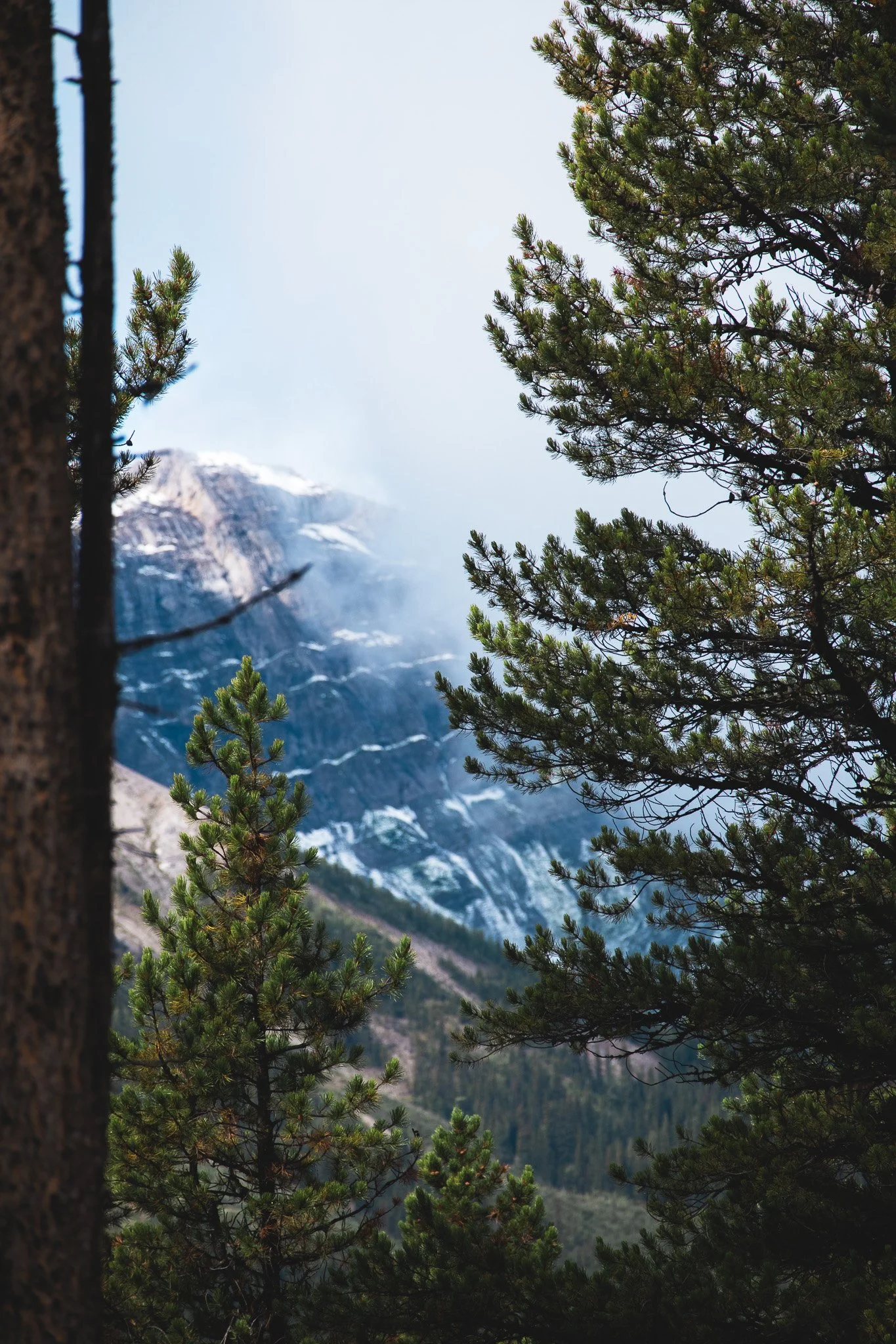Mountain view Canadian Rockies -Nicole Jasperse Photography.jpg