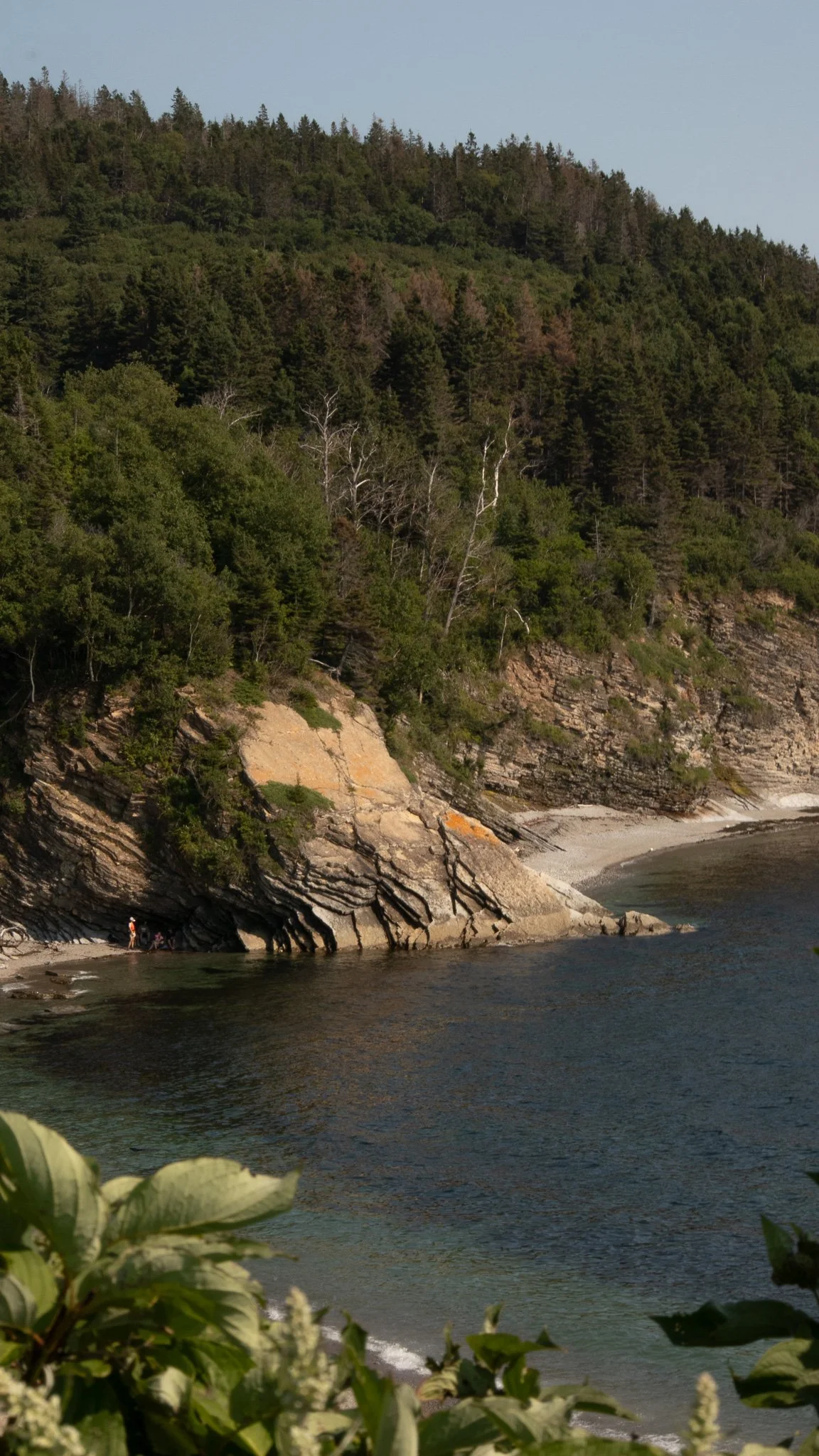 Forillon National Park.jpg