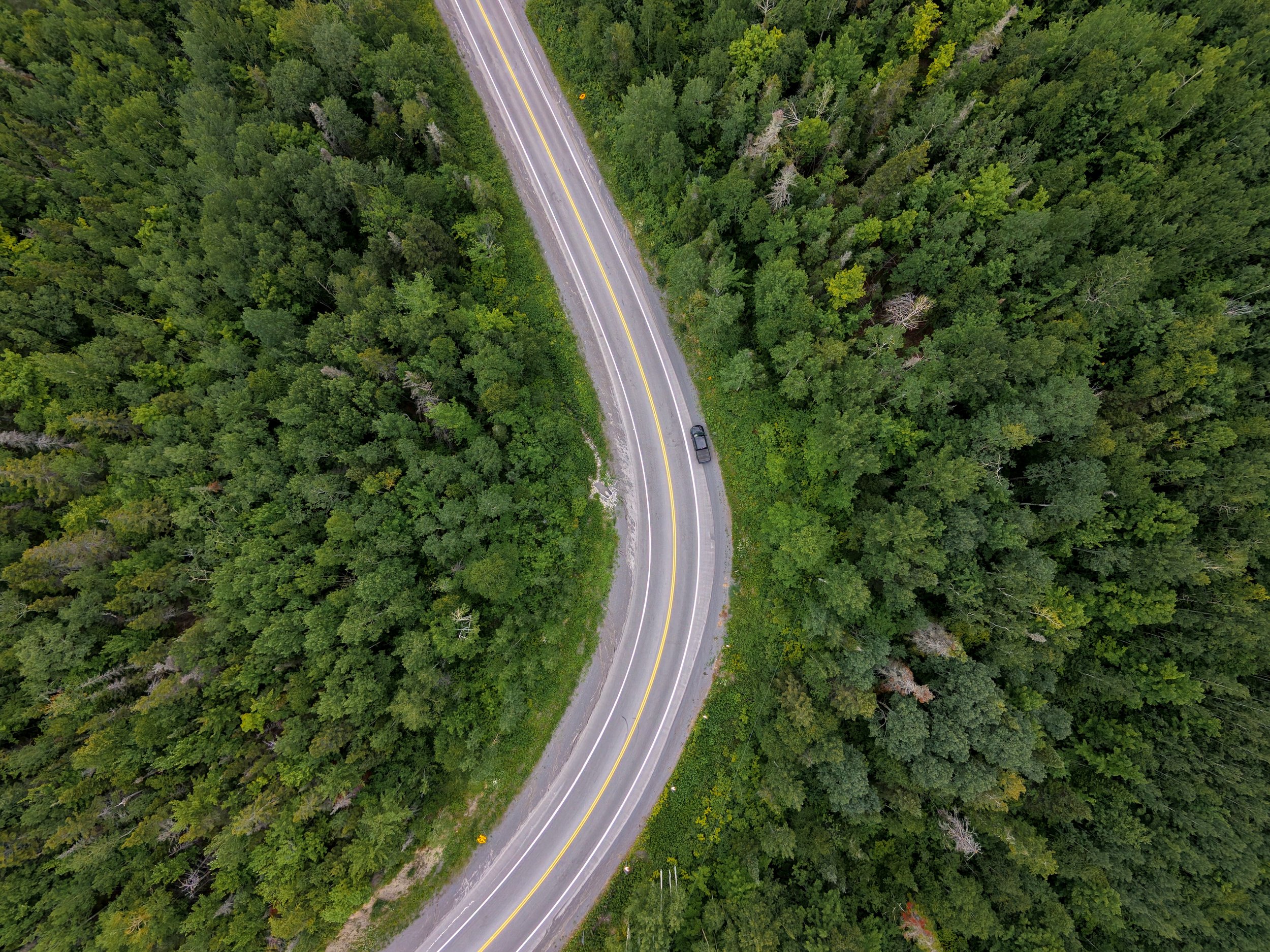 drone shot Gaspesie.jpg