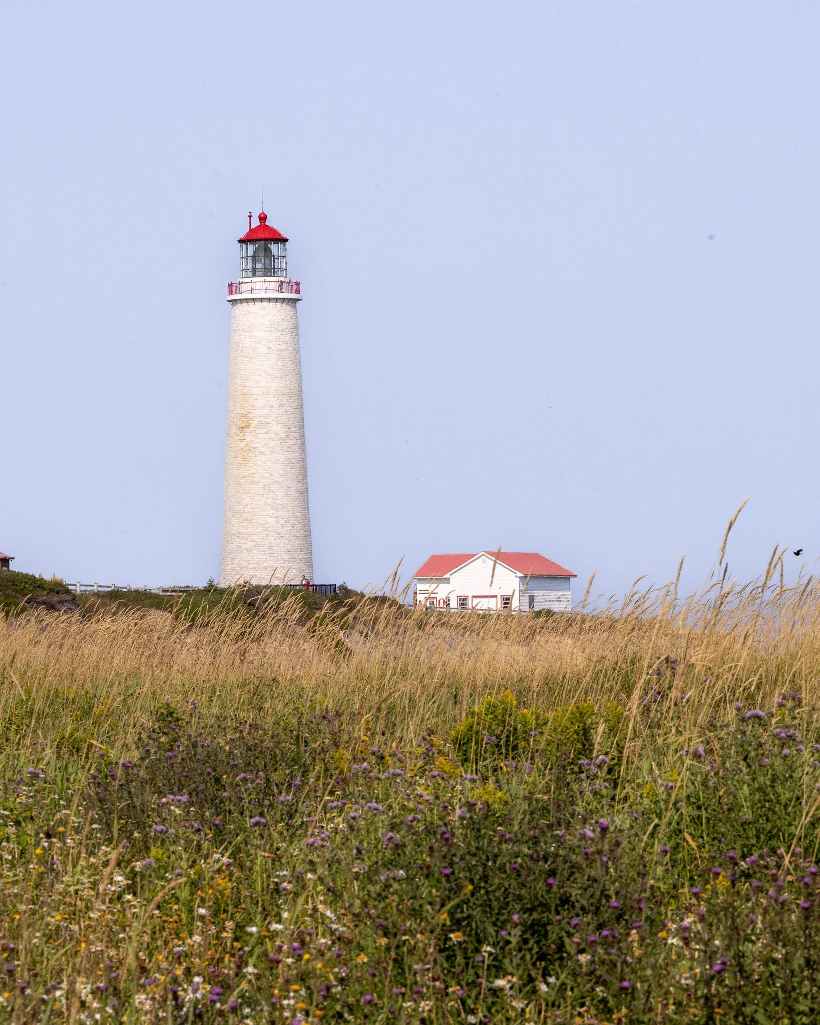 Cap-des-Rosiers Lighthousesummer.jpg