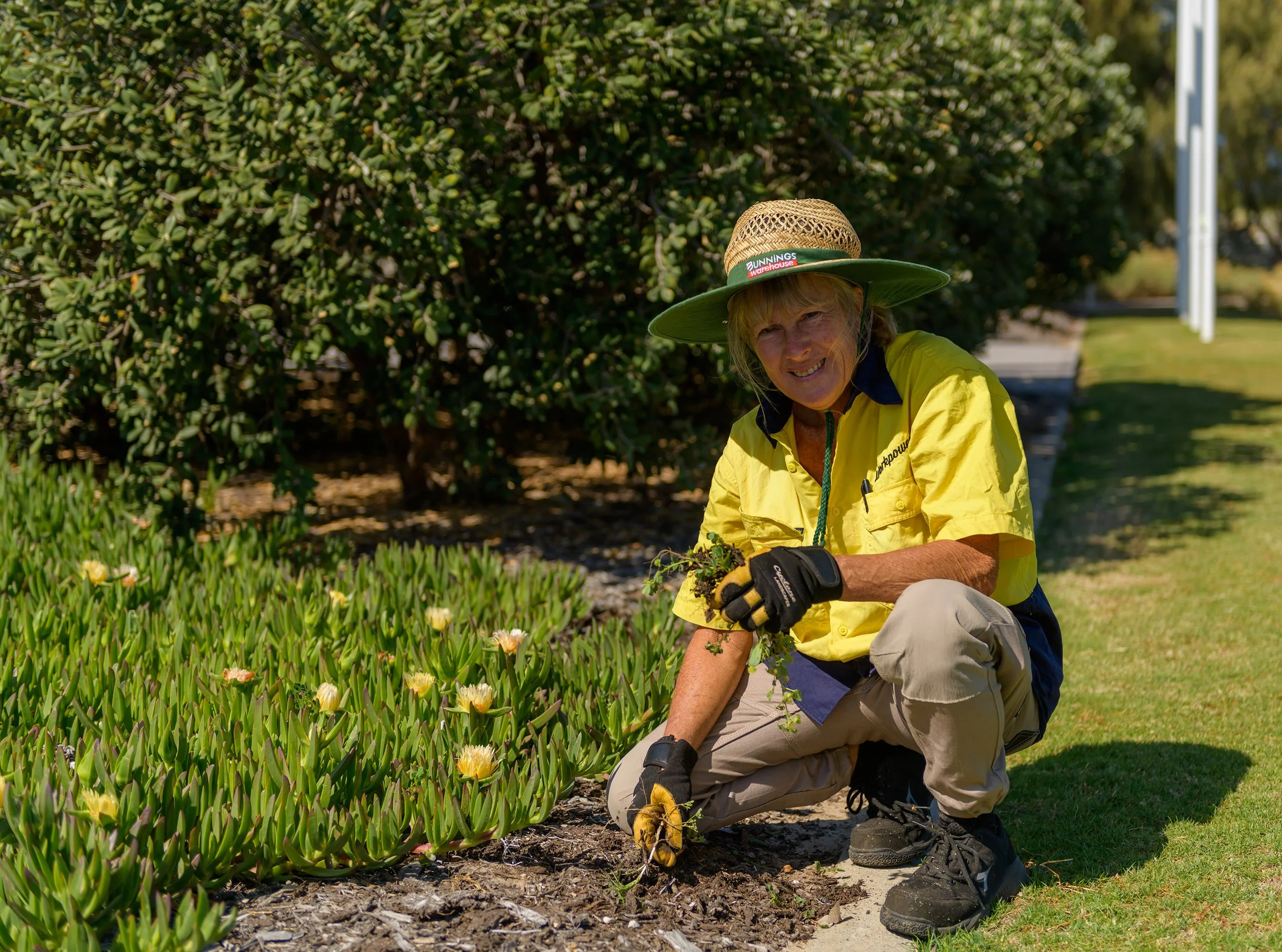 grounds maintenance and landscaping perth and western australia