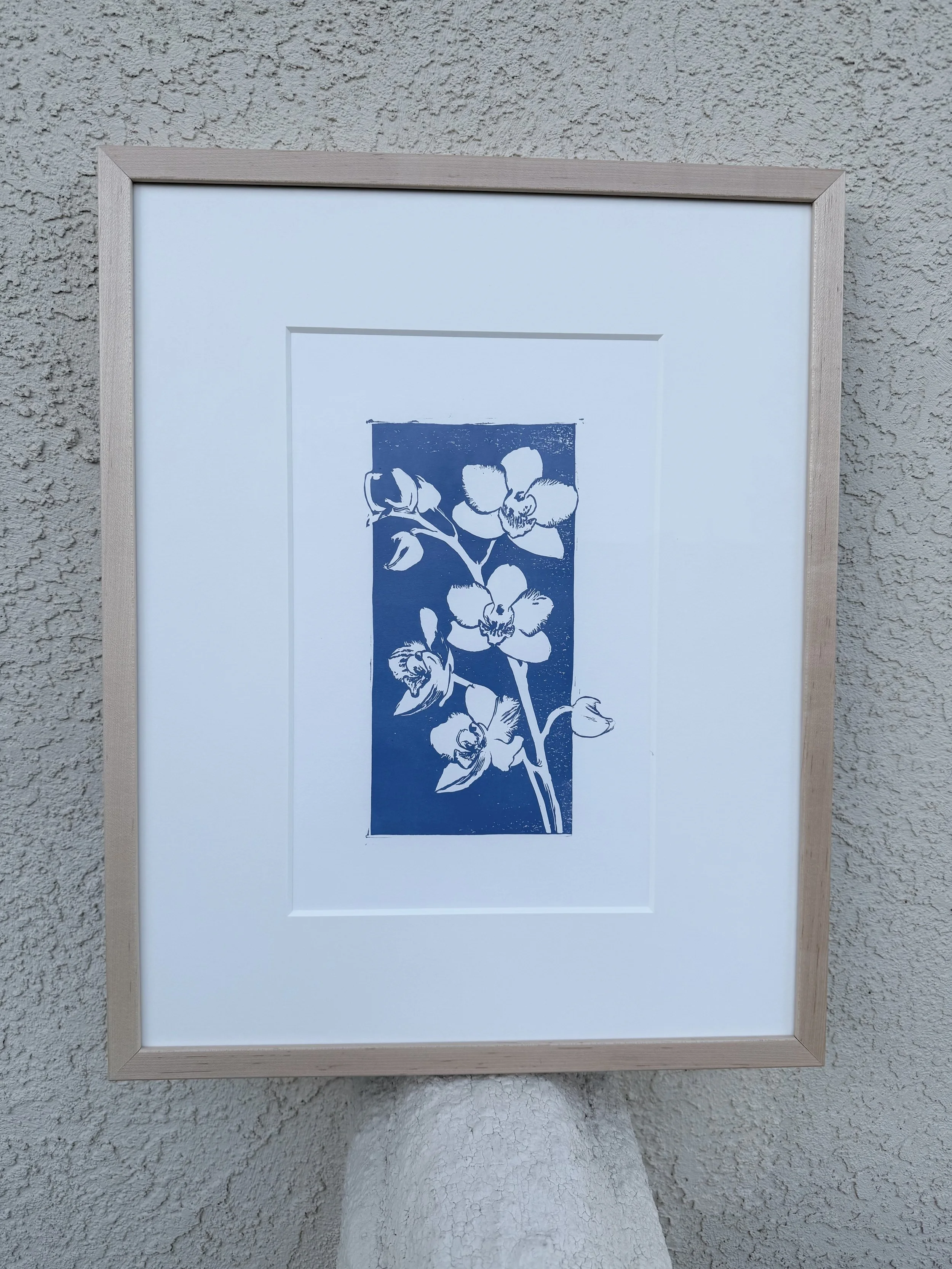 Orchids by Sydney Amin