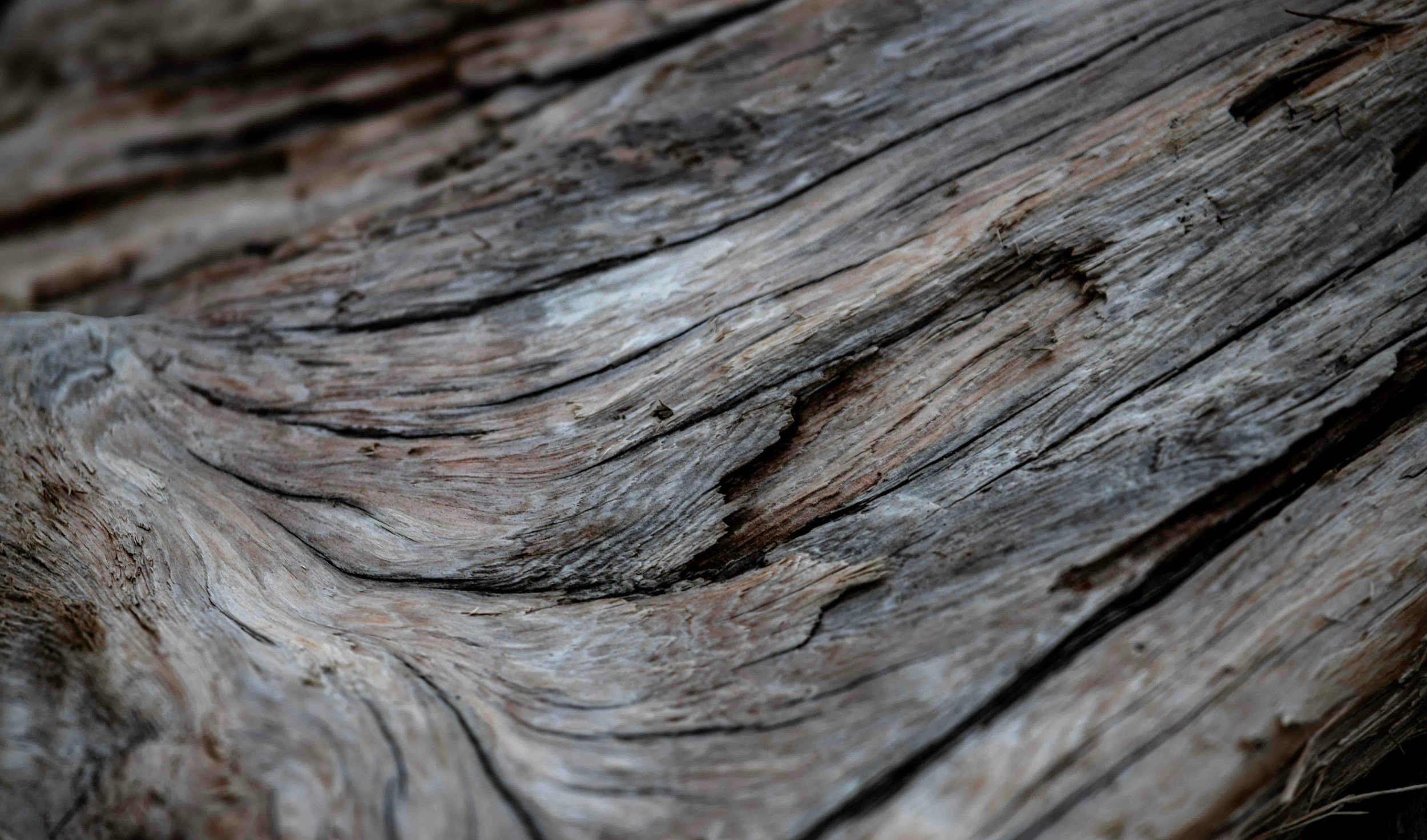 Fibrous/Sticks &amp; Stones Closing Reception