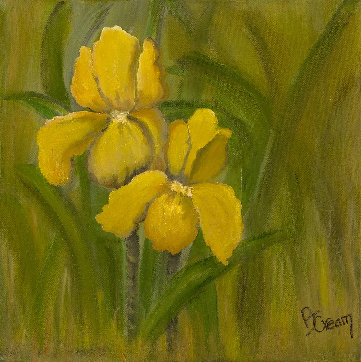 Peeking Out by Patricia Cream