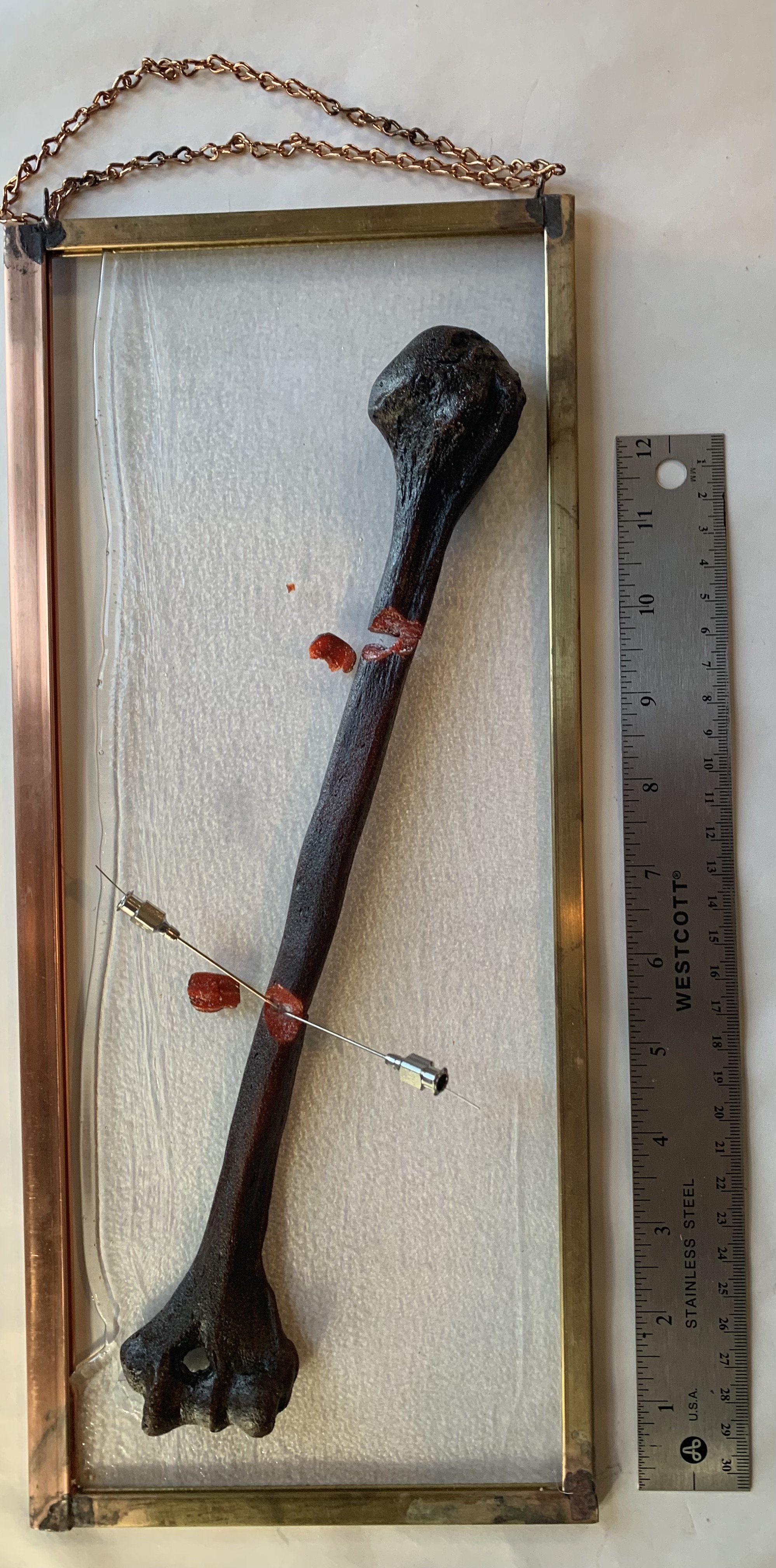 Tenebricus Rubra F C Umerus by Peter Janes