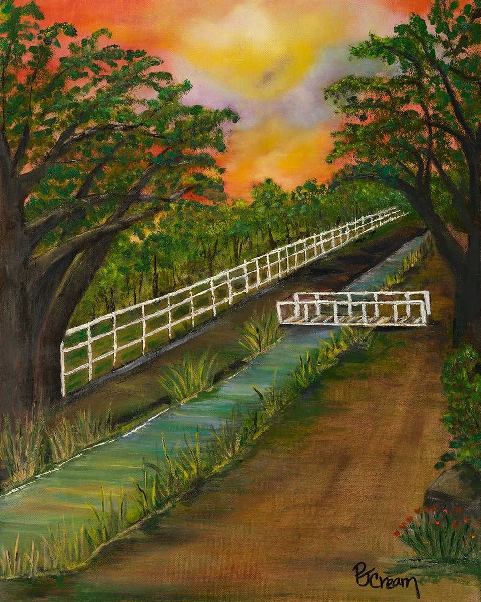 A Walk With My Sister by Patricia Cream