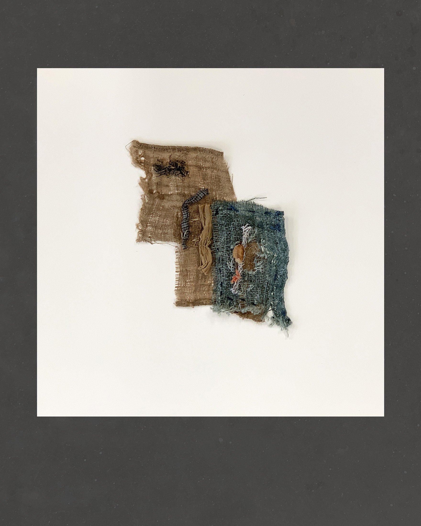 Susan Allison-Hatch_Fragments_1 - Susan Allison-Hatch.jpg
