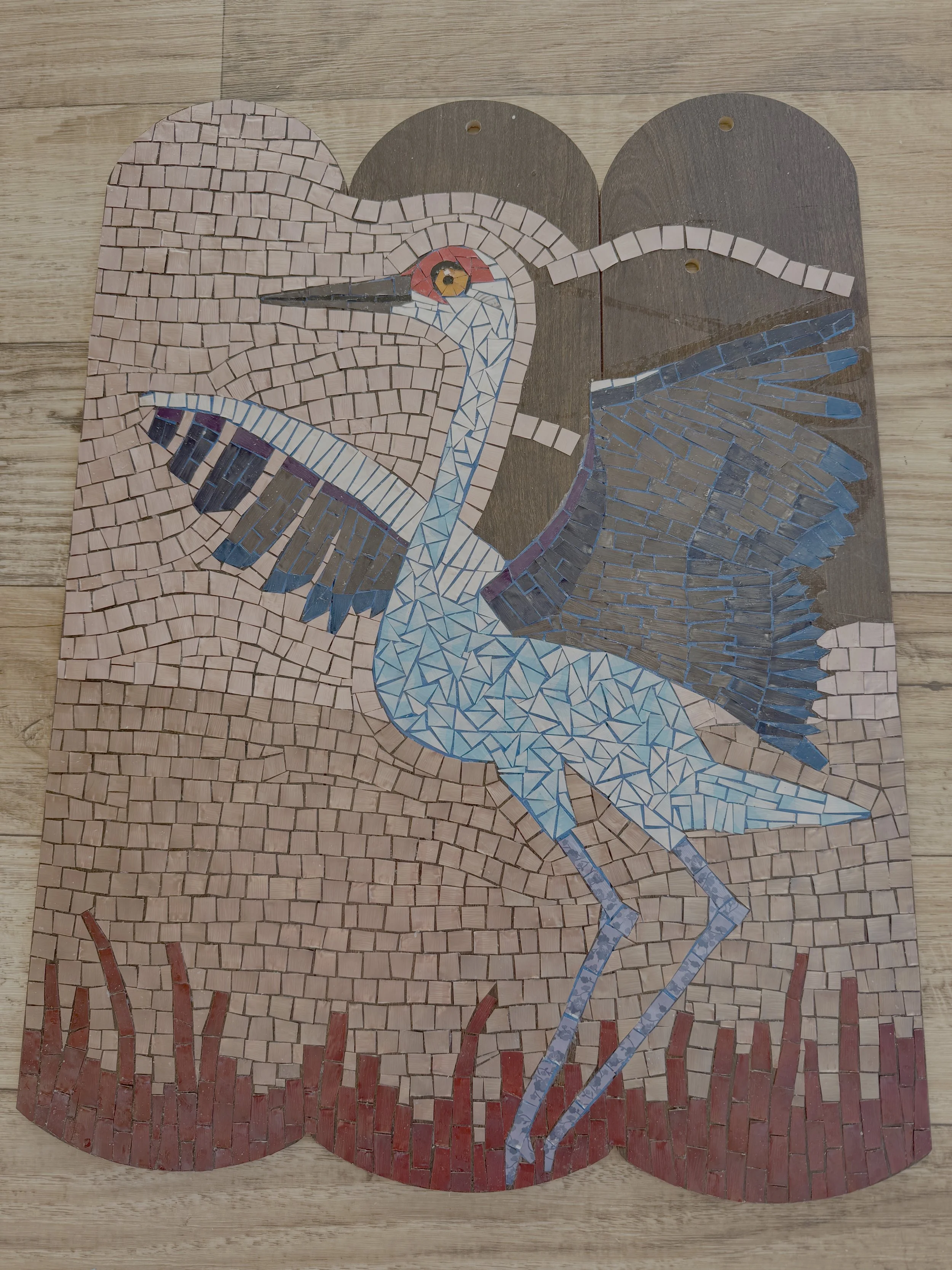 Sandhill Crane by Dina Afek