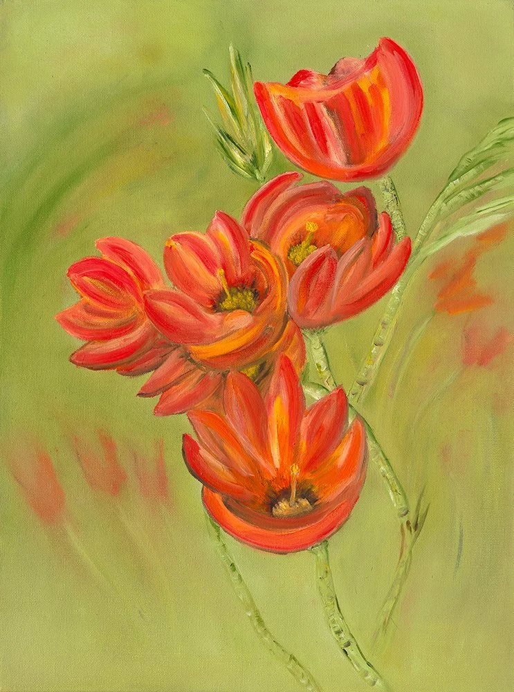 Blooms Abound by Patricia Cream