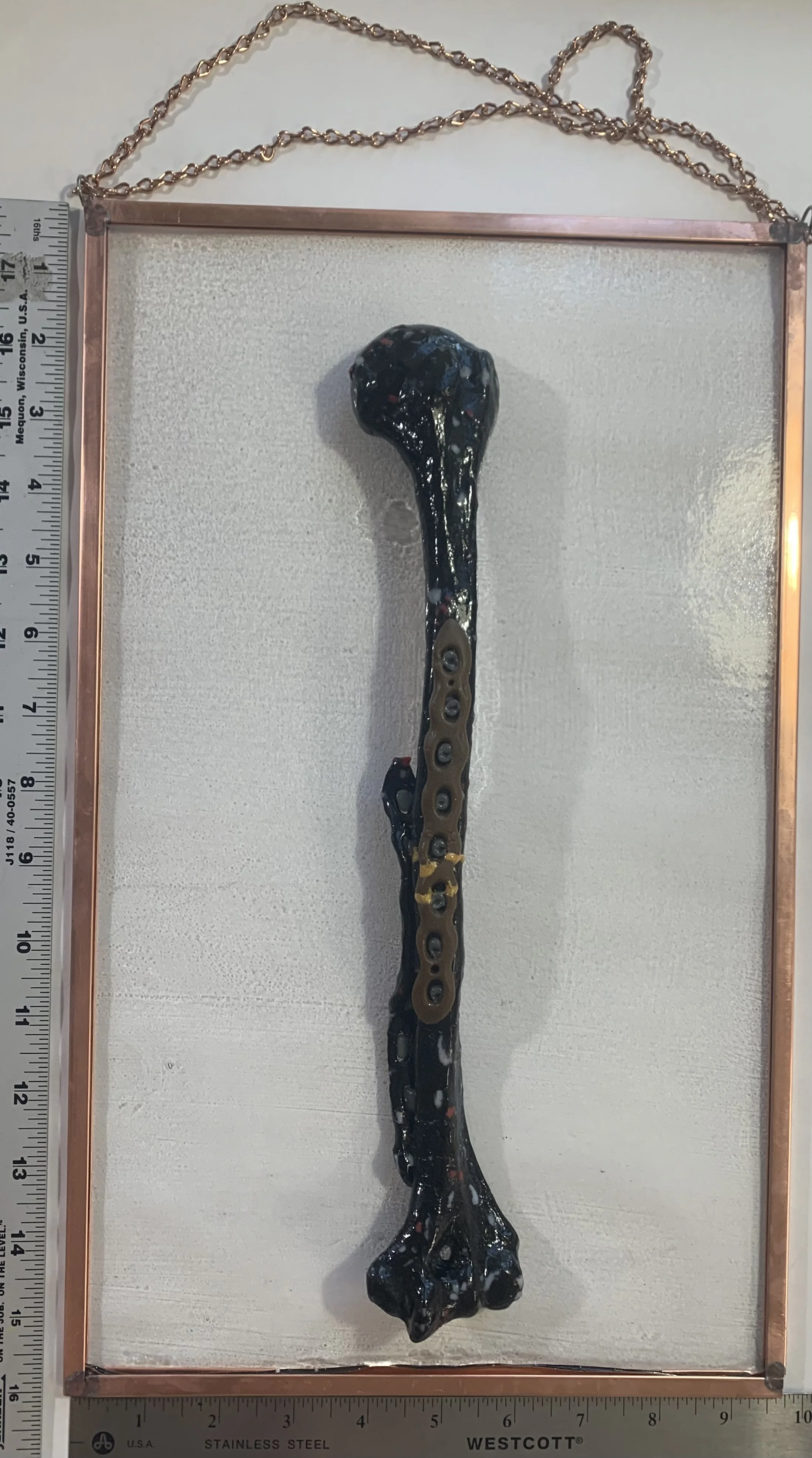 Negro Vasc Prod Deformis Um by Peter Janes