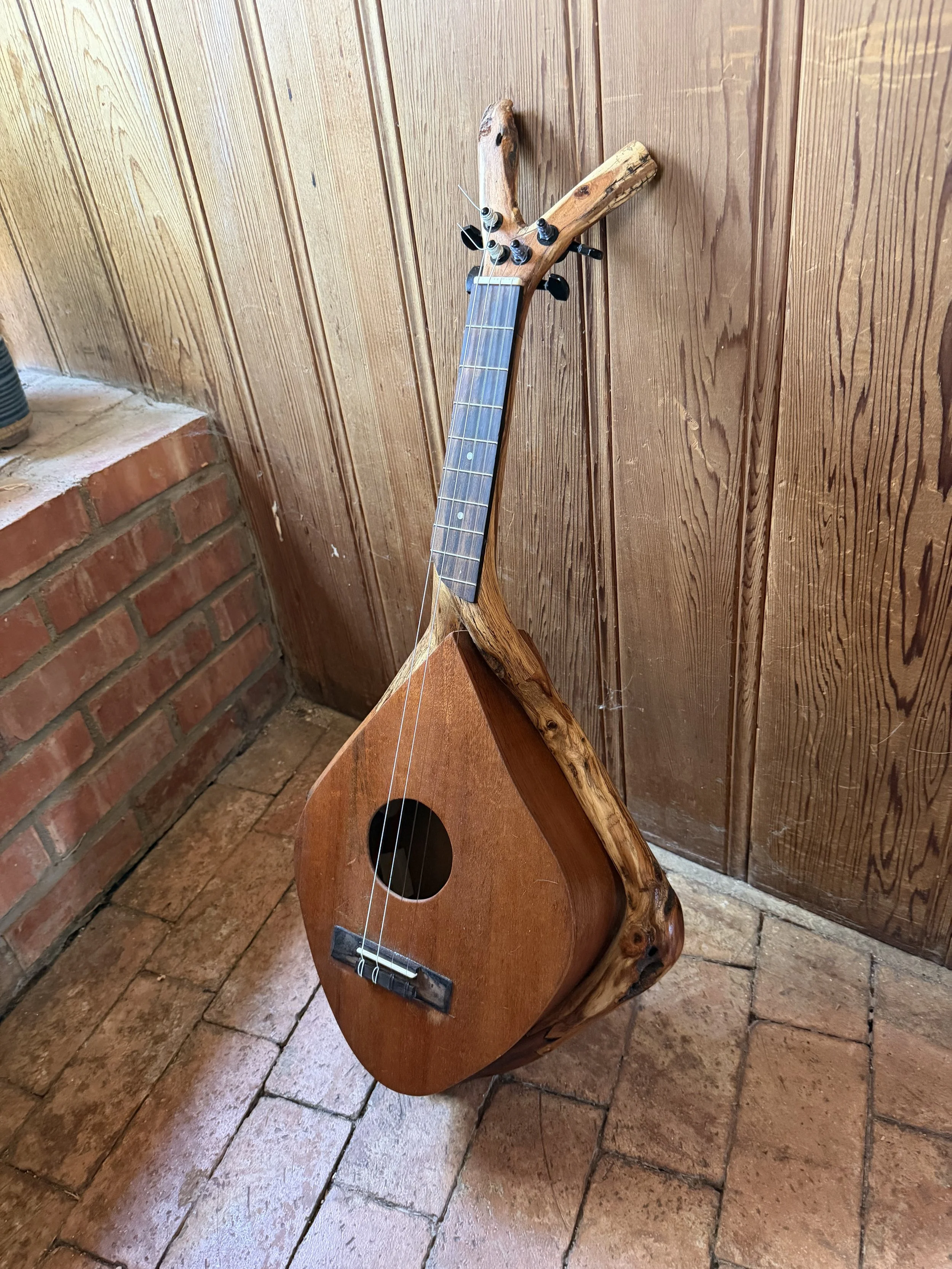 Mesquite Lute by Vance Sterling