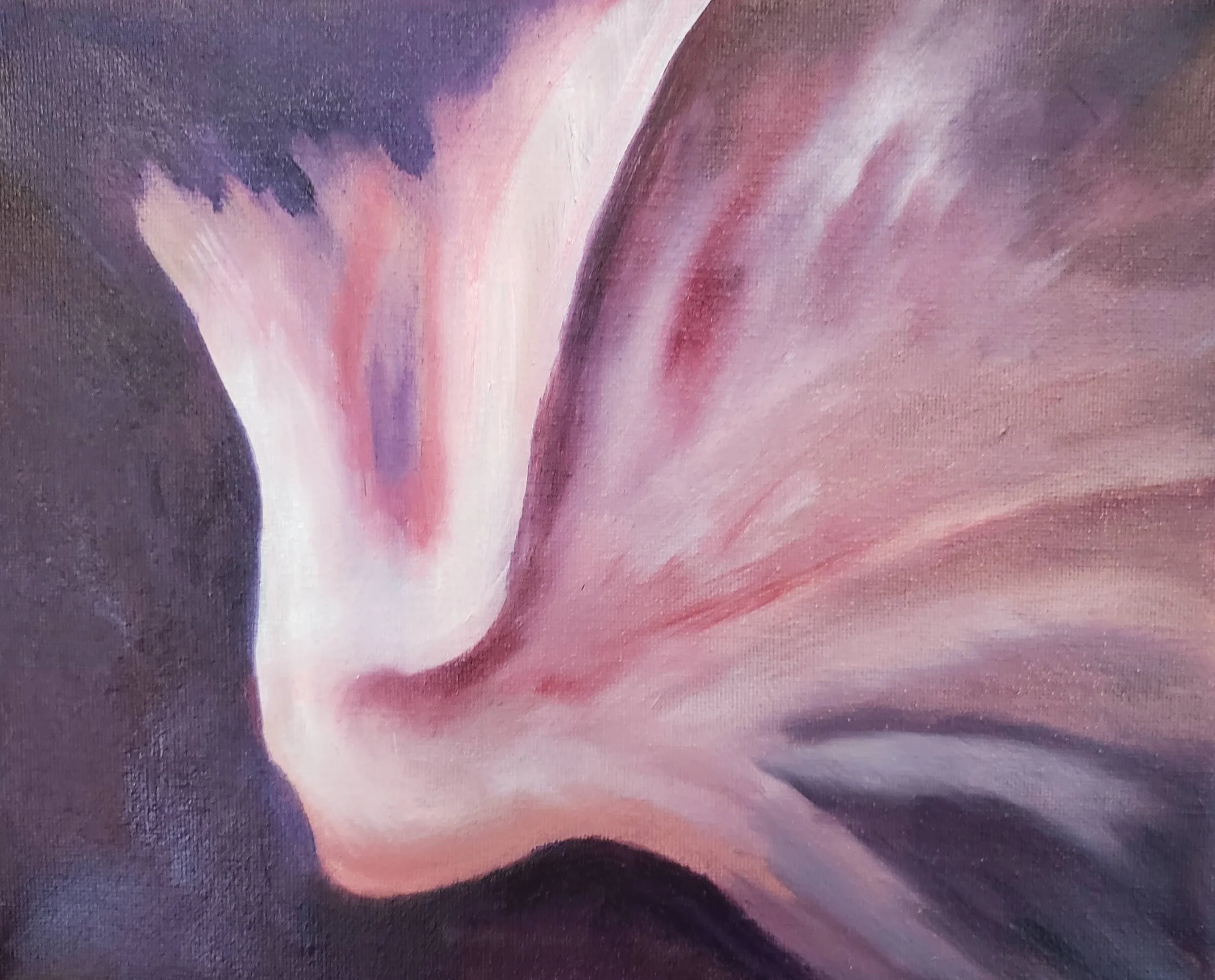 Angel Light by Patricia Cream